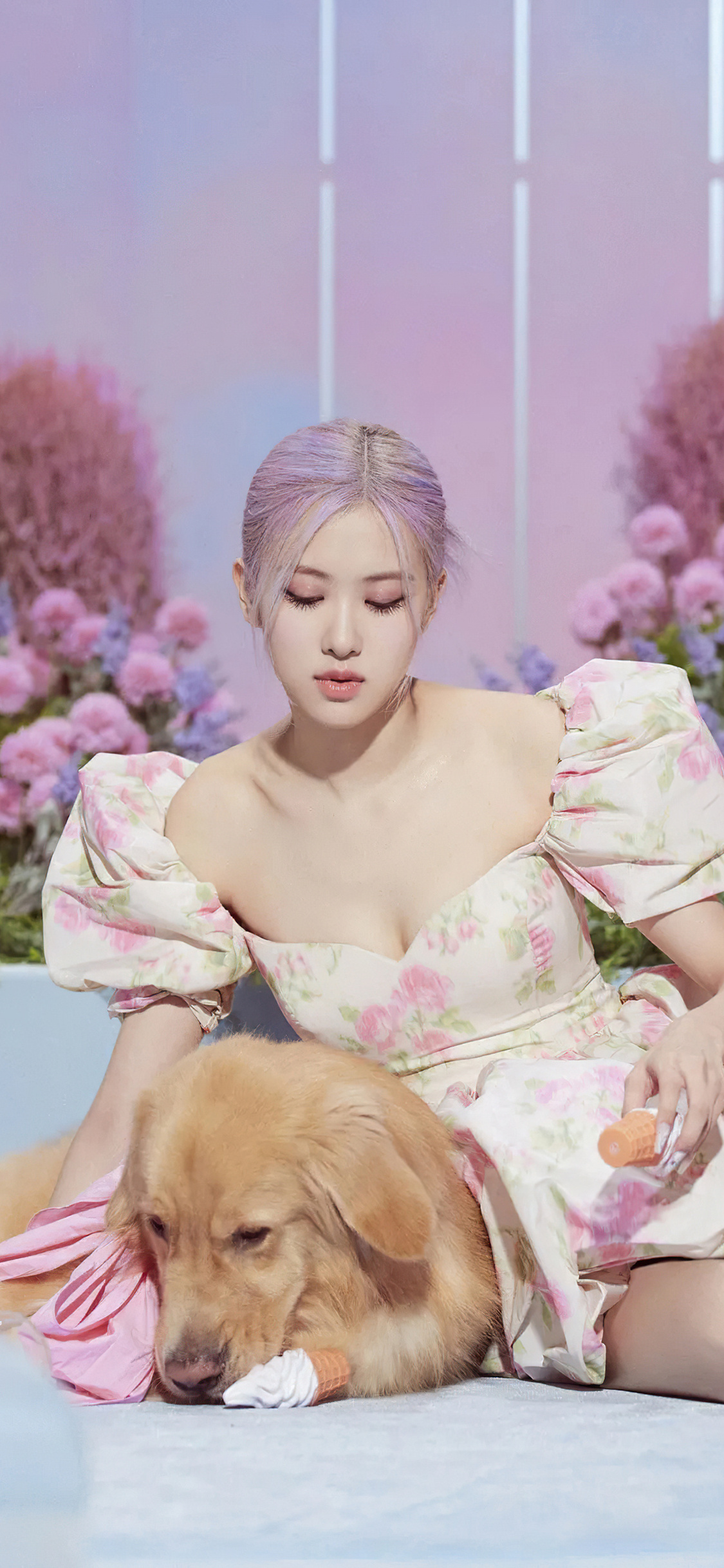 Blackpink Rose 4k iPhone XS, iPhone 10, iPhone X HD 4k Wallpaper, Image, Background, Photo and Picture