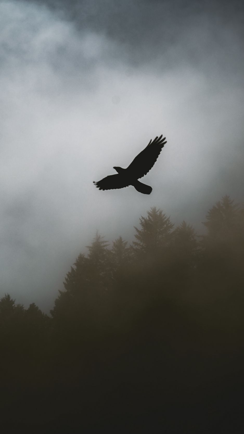 Download Wallpaper 938x1668 Bird, Raven, Fog, Trees, Dark Iphone 8 7 6s 6 For Parallax HD Background