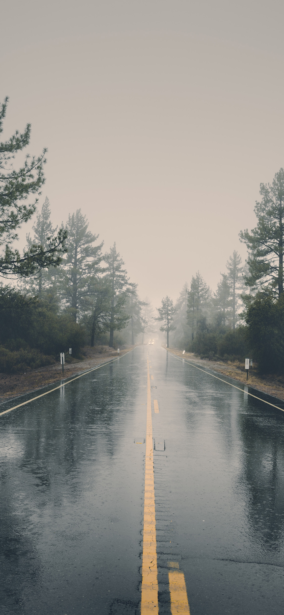 Rain Road Street City Nature