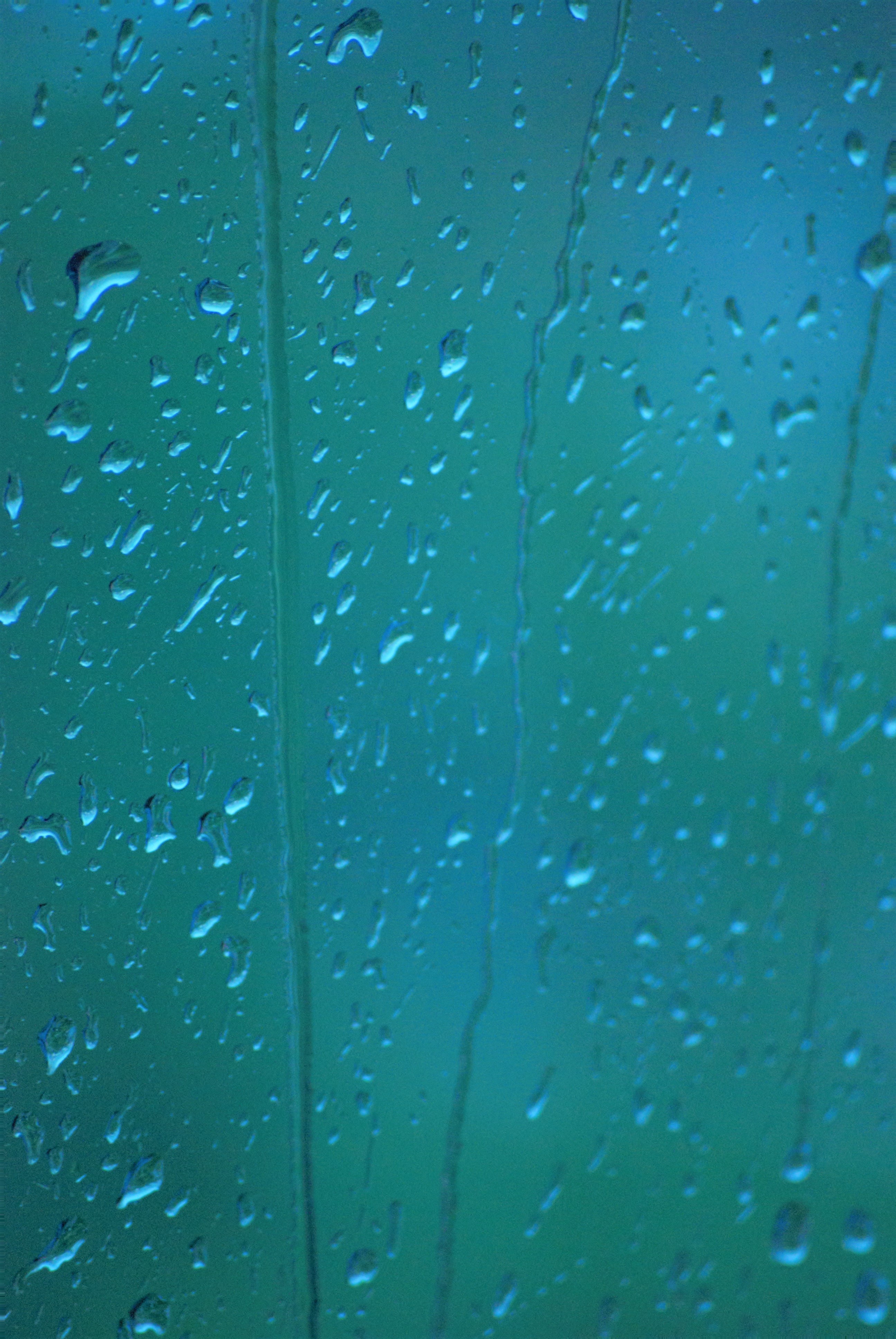 Free of rain, rain background, rain wallpaper, raindrops, rainy, water, wet, window
