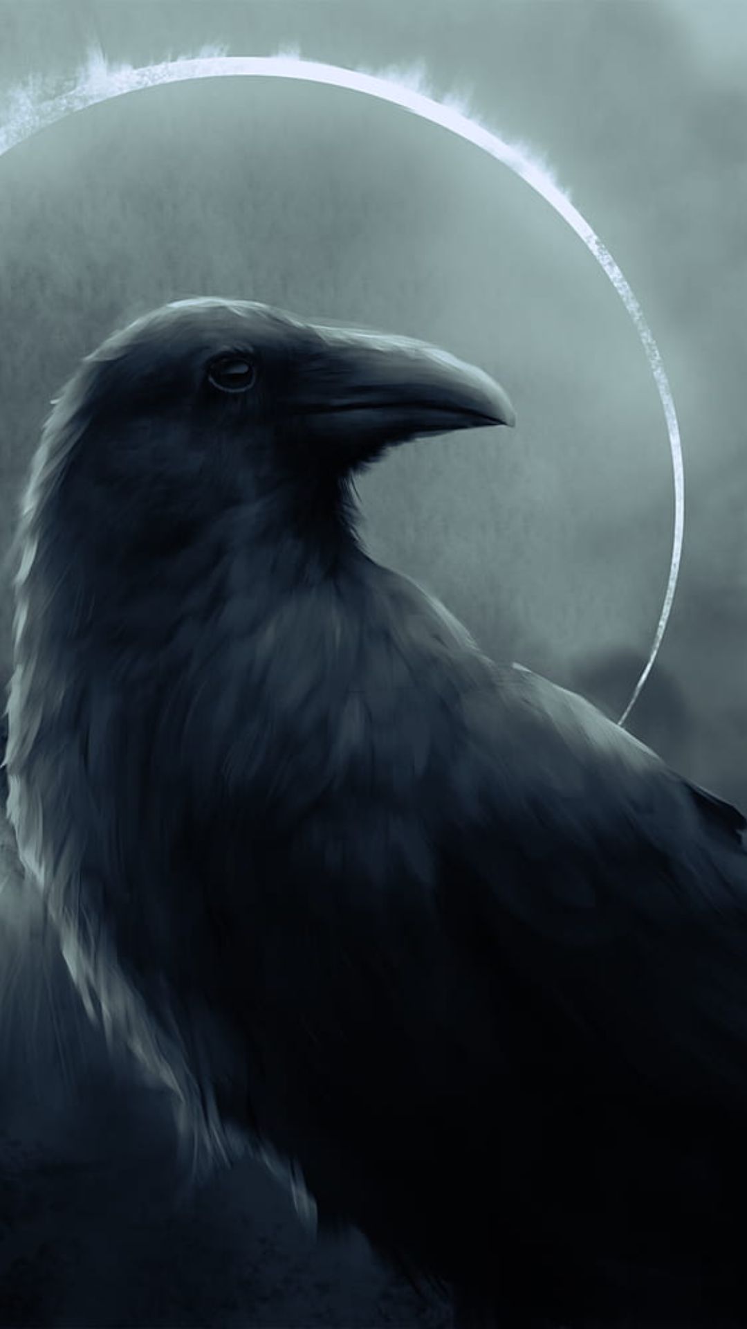 Best Raven Wallpaper [ HQ ]