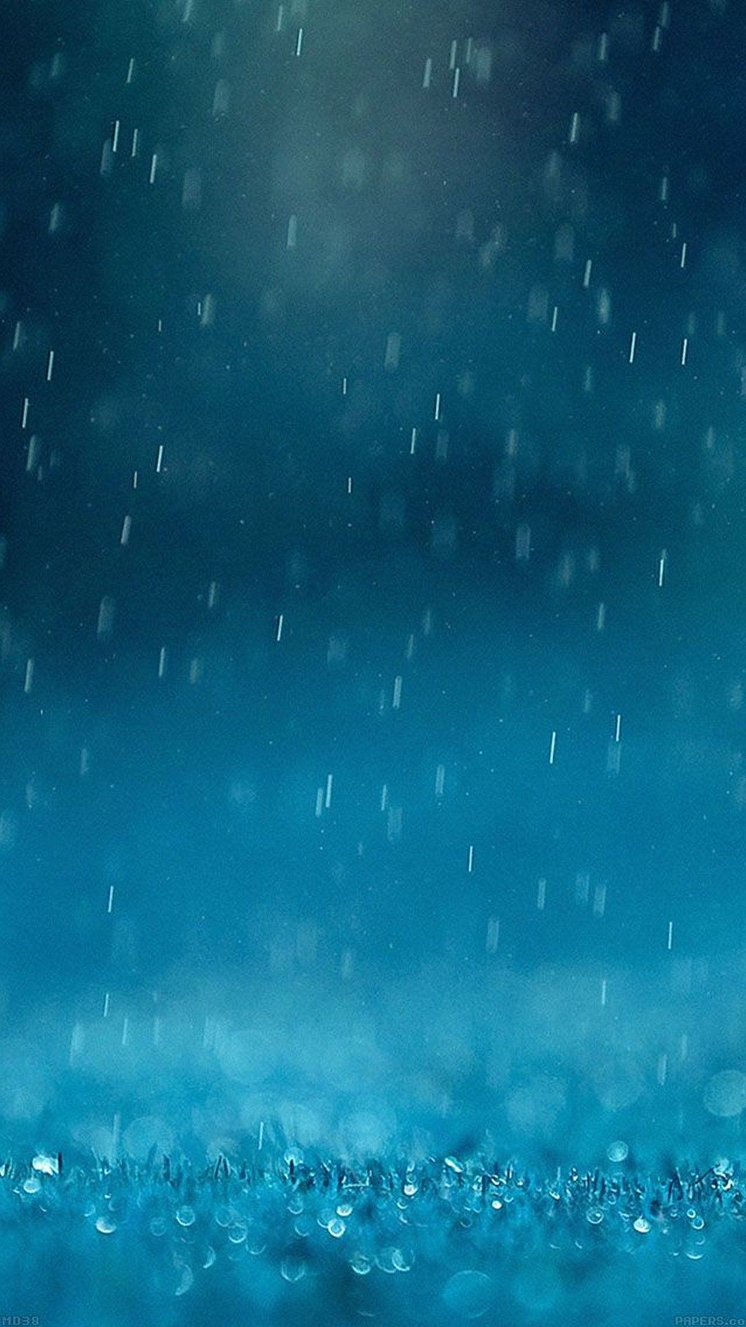 Rain