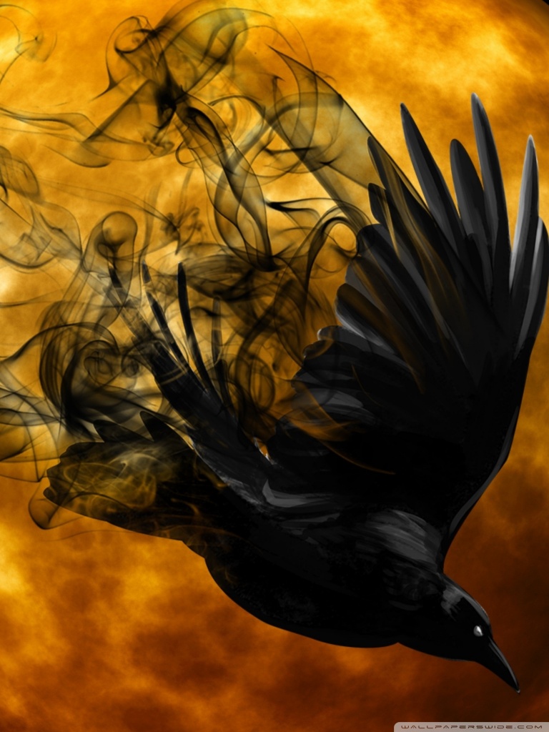 Halloween Raven Ultra HD Desktop Background Wallpaper for 4K UHD TV, Widescreen & UltraWide Desktop & Laptop, Tablet