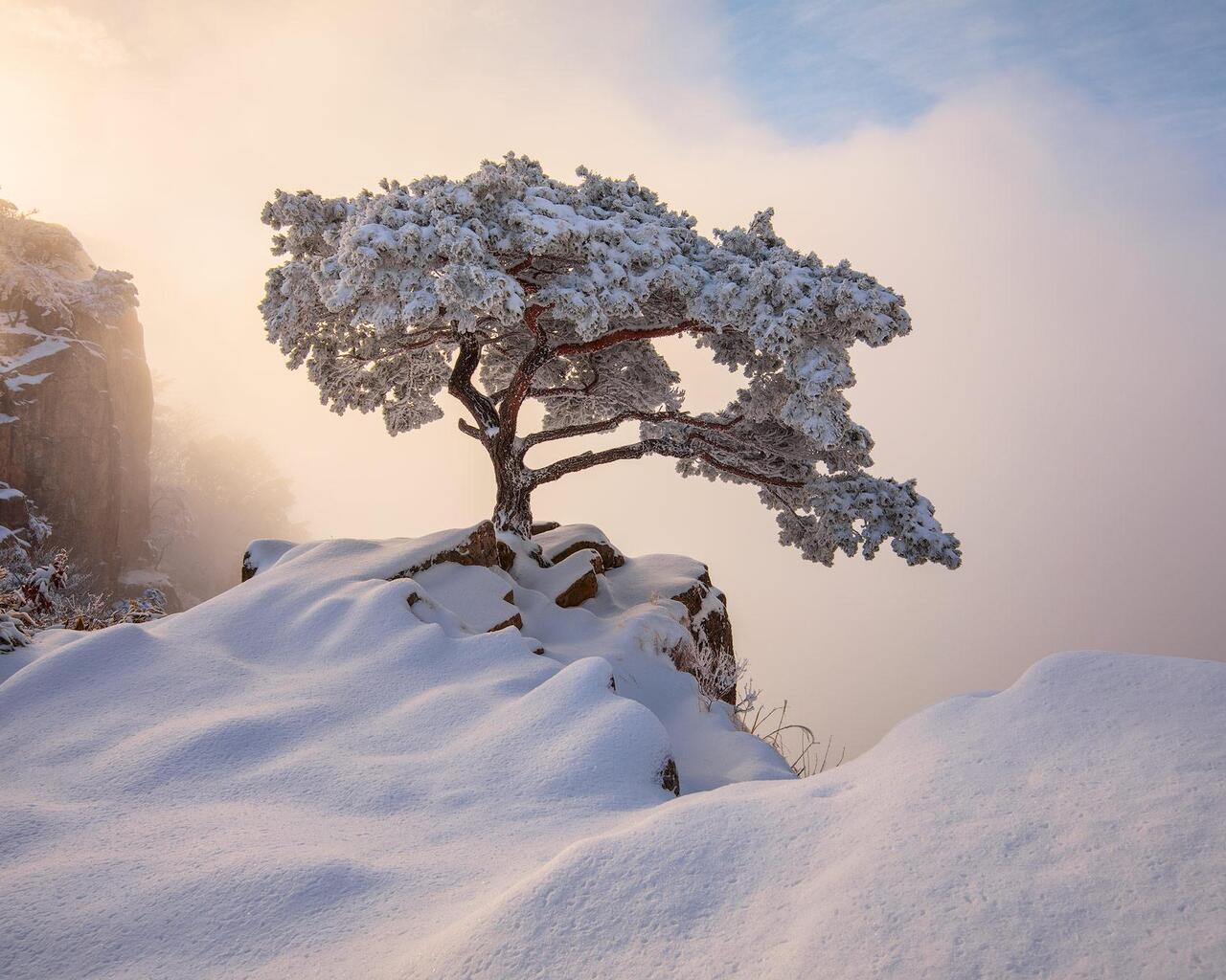 South Korea December Winter 1280x1024 Resolution HD 4k Wallpaper, Image, Background, Photo and Picture