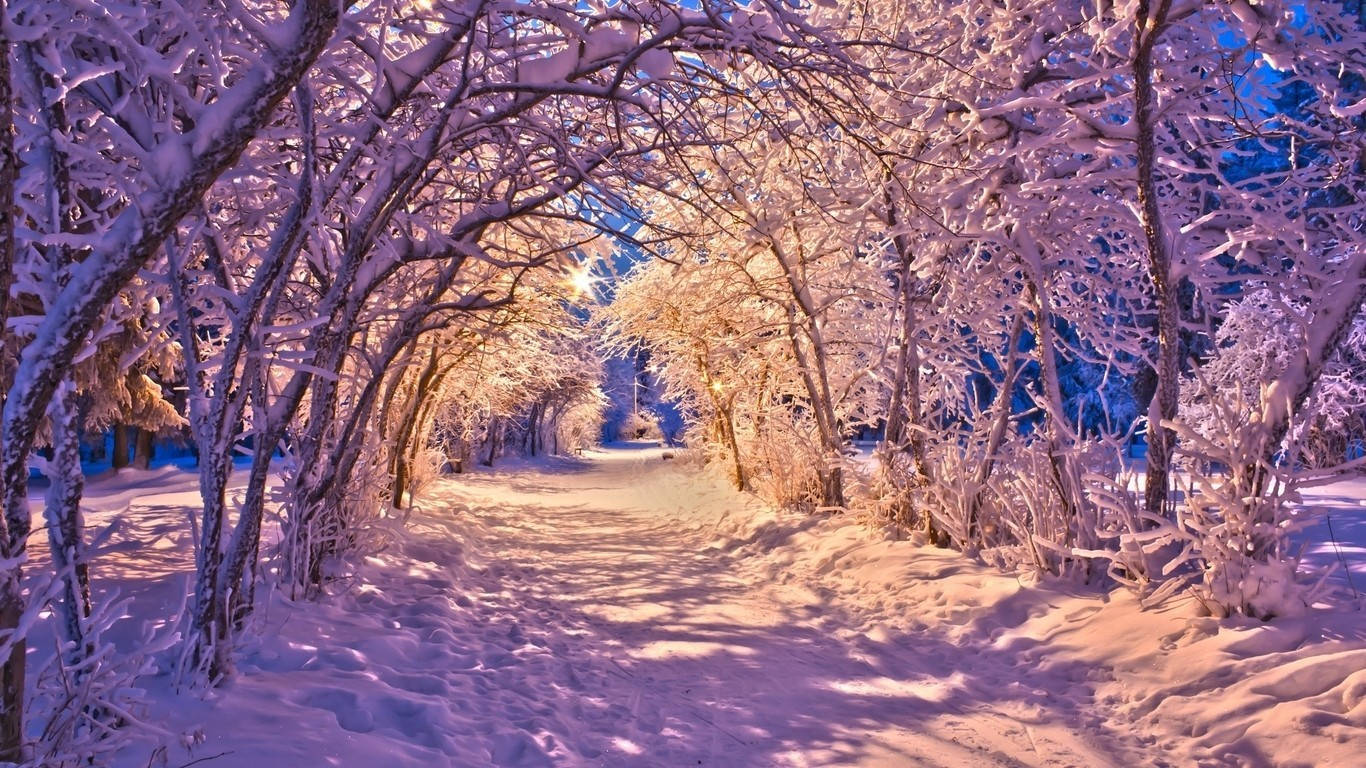 Winter Aesthetic Wallpaper