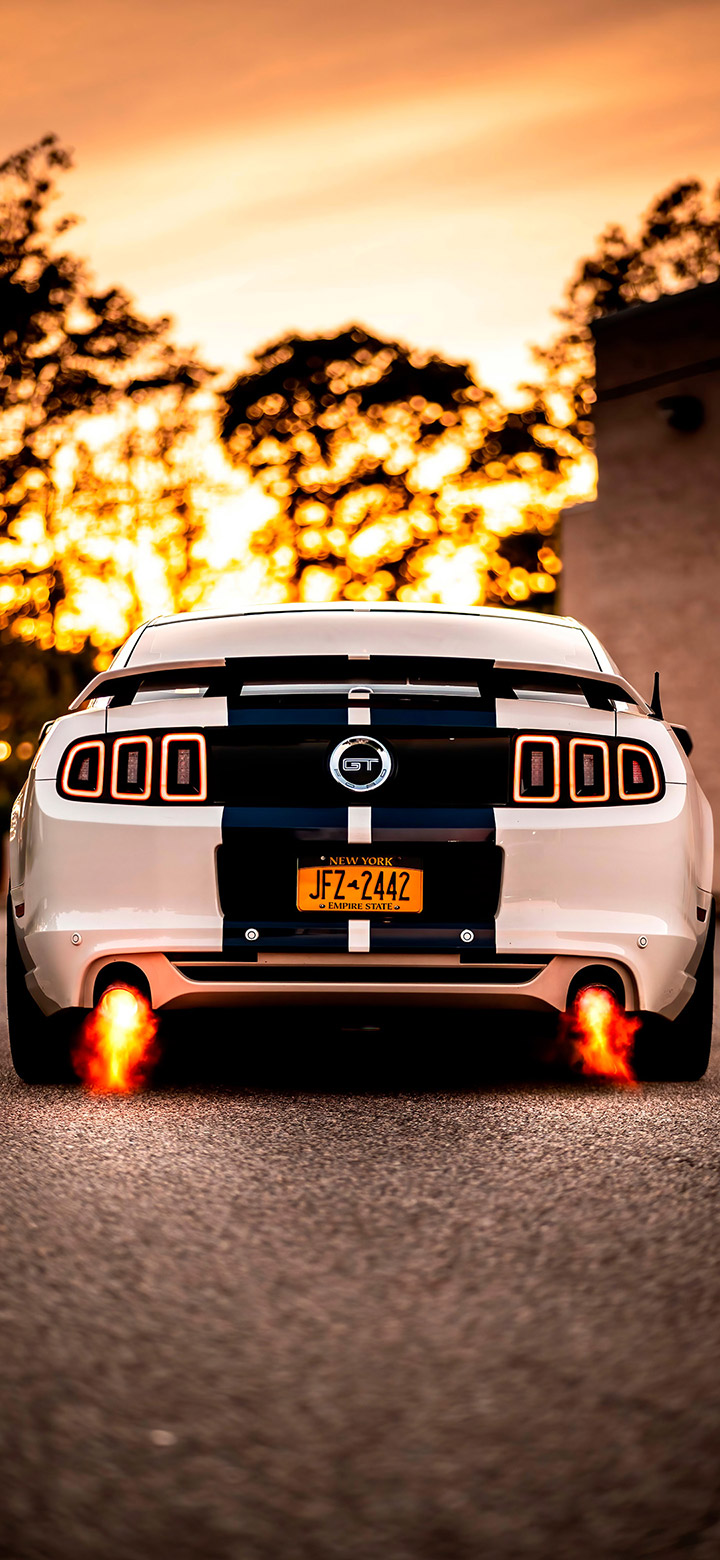 Mustang Gt Under The Brown Sunset 4K