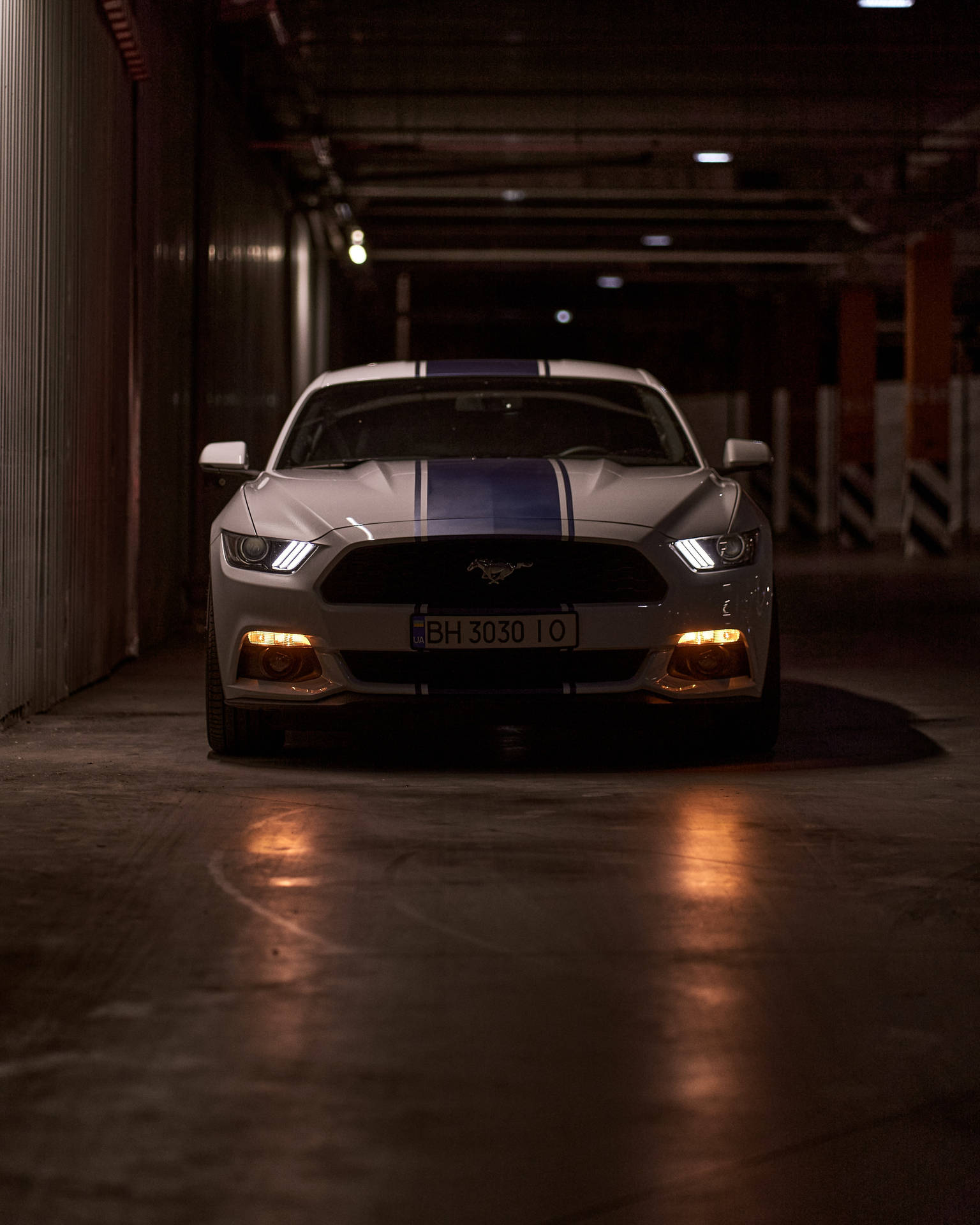 Download Mustang Wallpaper