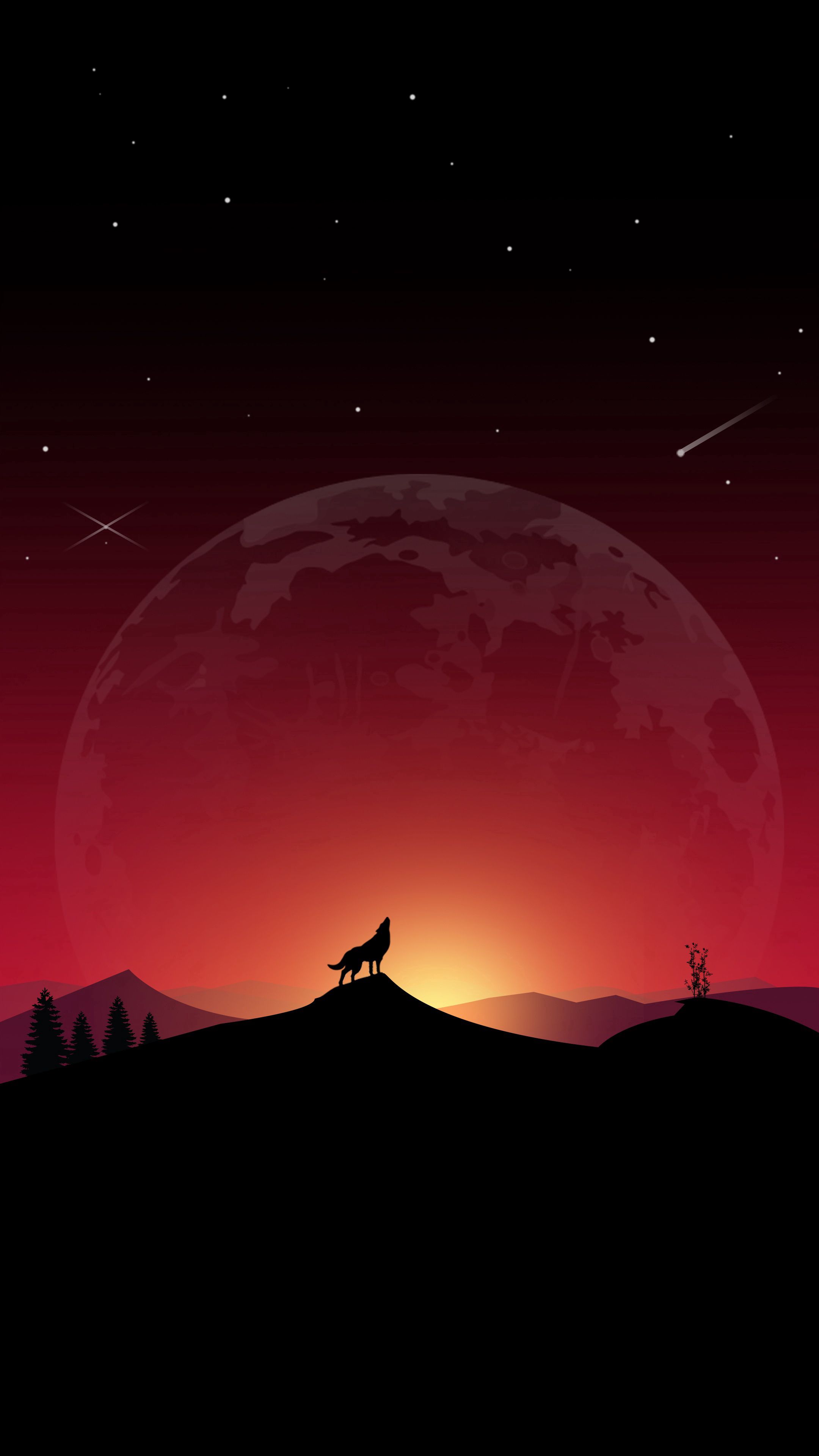 Download Wolf wallpaper for mobile phone, free Wolf HD picture