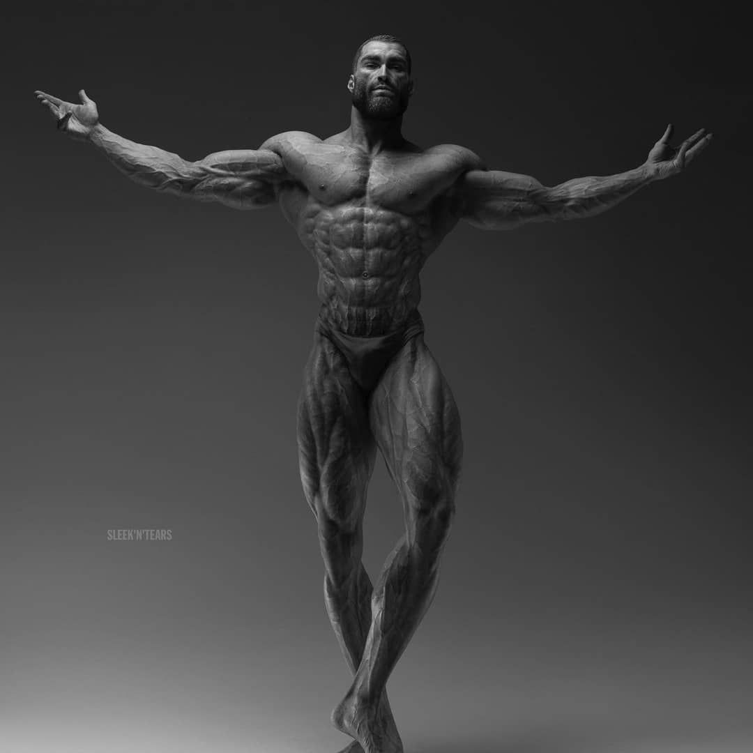 Giga Chad on Instagram: Can you feel my hug?. Chad image, Chad, Anatomy sculpture