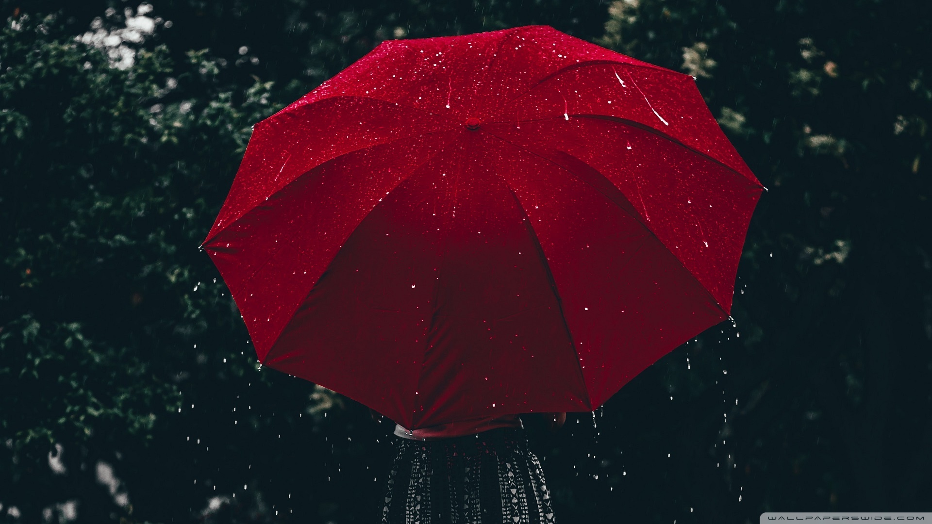 Raining Aesthetic Ultra HD Desktop Background Wallpaper for 4K UHD TV, Tablet