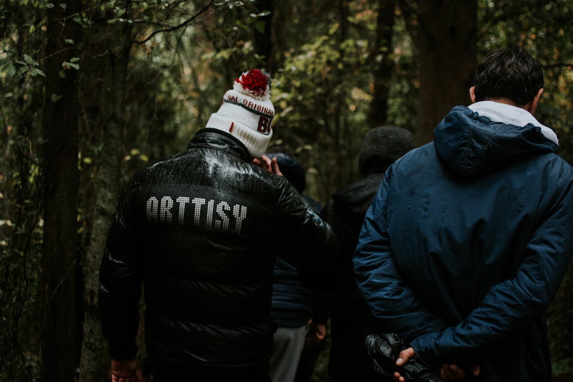 Free of 35mm, 4k wallpaper, 8k wallpaper, action, adult, aesthetic picture, aesthetic desktop background, aesthetic desktop wallpaper, aesthetic wallpaper, after rain, after the rain, autumn forest, autumn leaves, battle, big