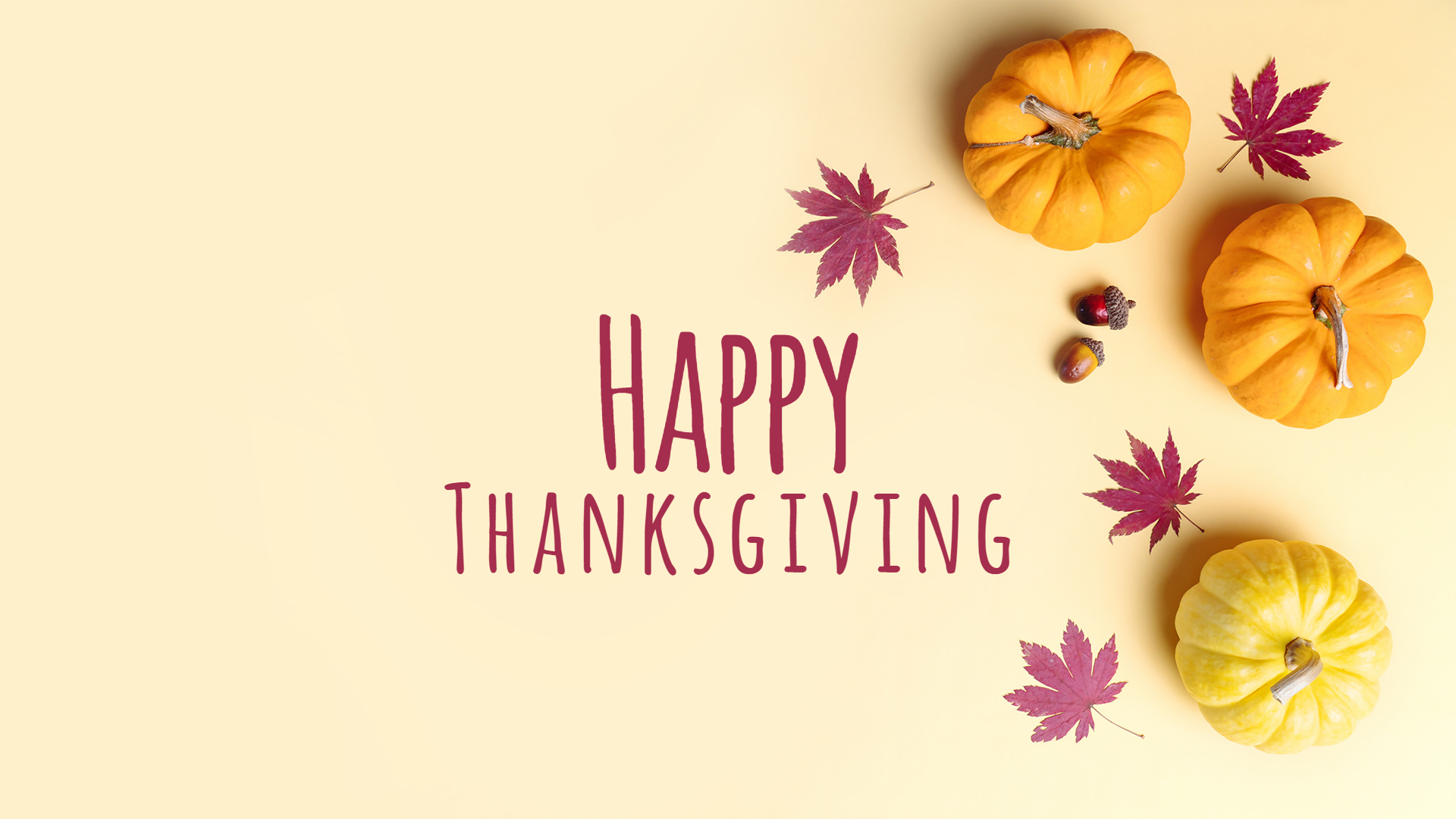 20+ Thanksgiving Wallpapers & Backgrounds for Your Holiday Celebration 2022
