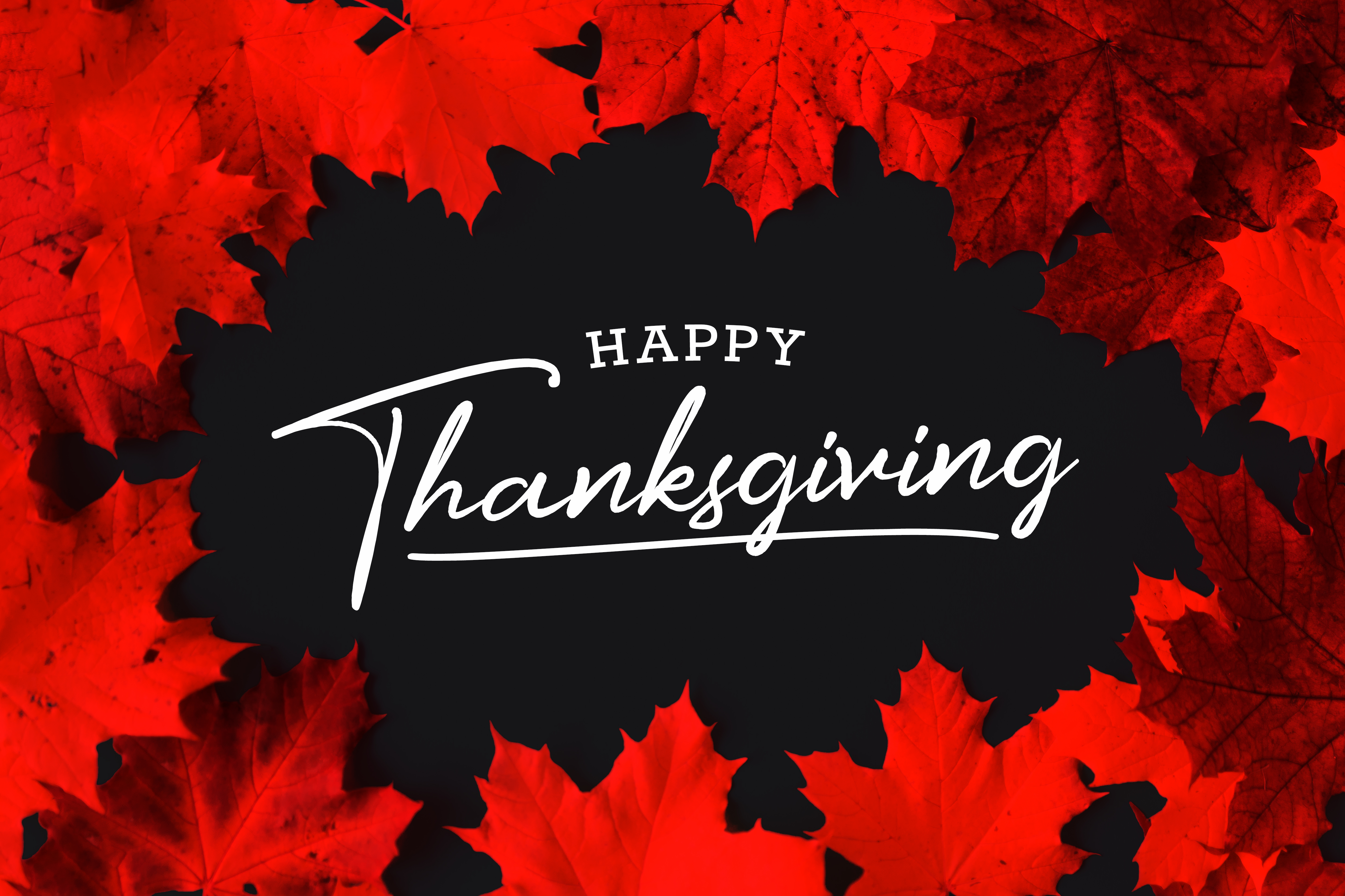 4 Happy Thanksgiving Free Photos and Image
