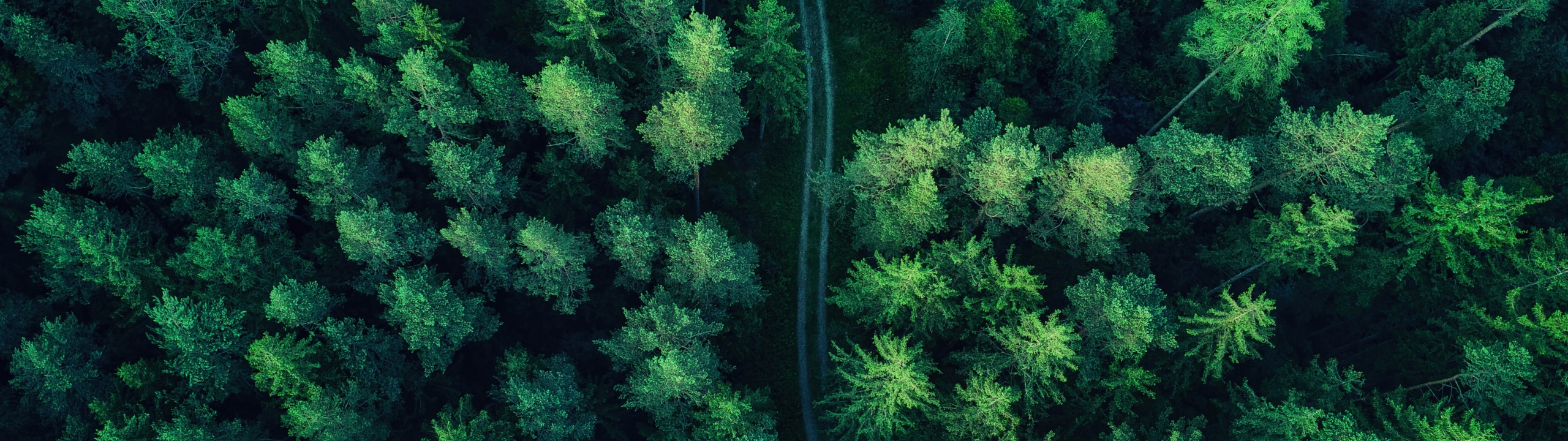 Best Cool Dual Monitor and Dual Screen Wallpaper [ HQ ]