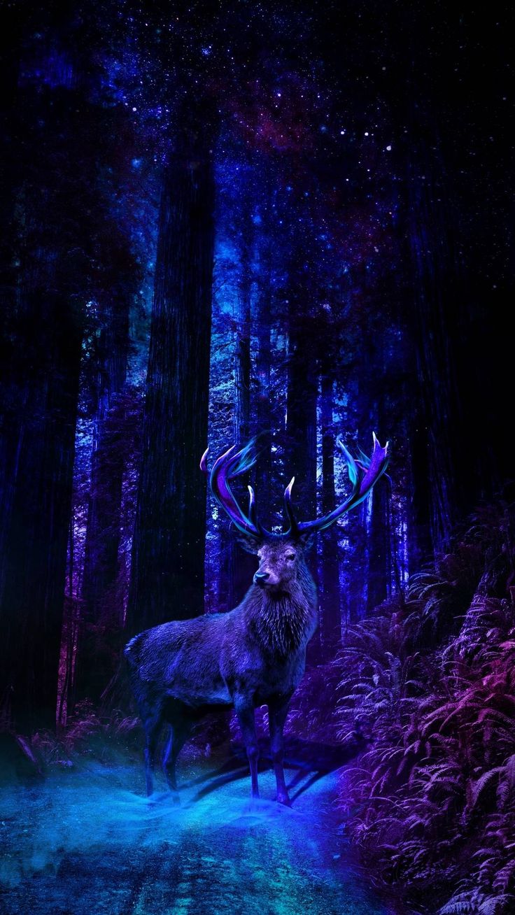 Neon Buck. Animal wallpaper, Wallpaper, iPhone 6 wallpaper