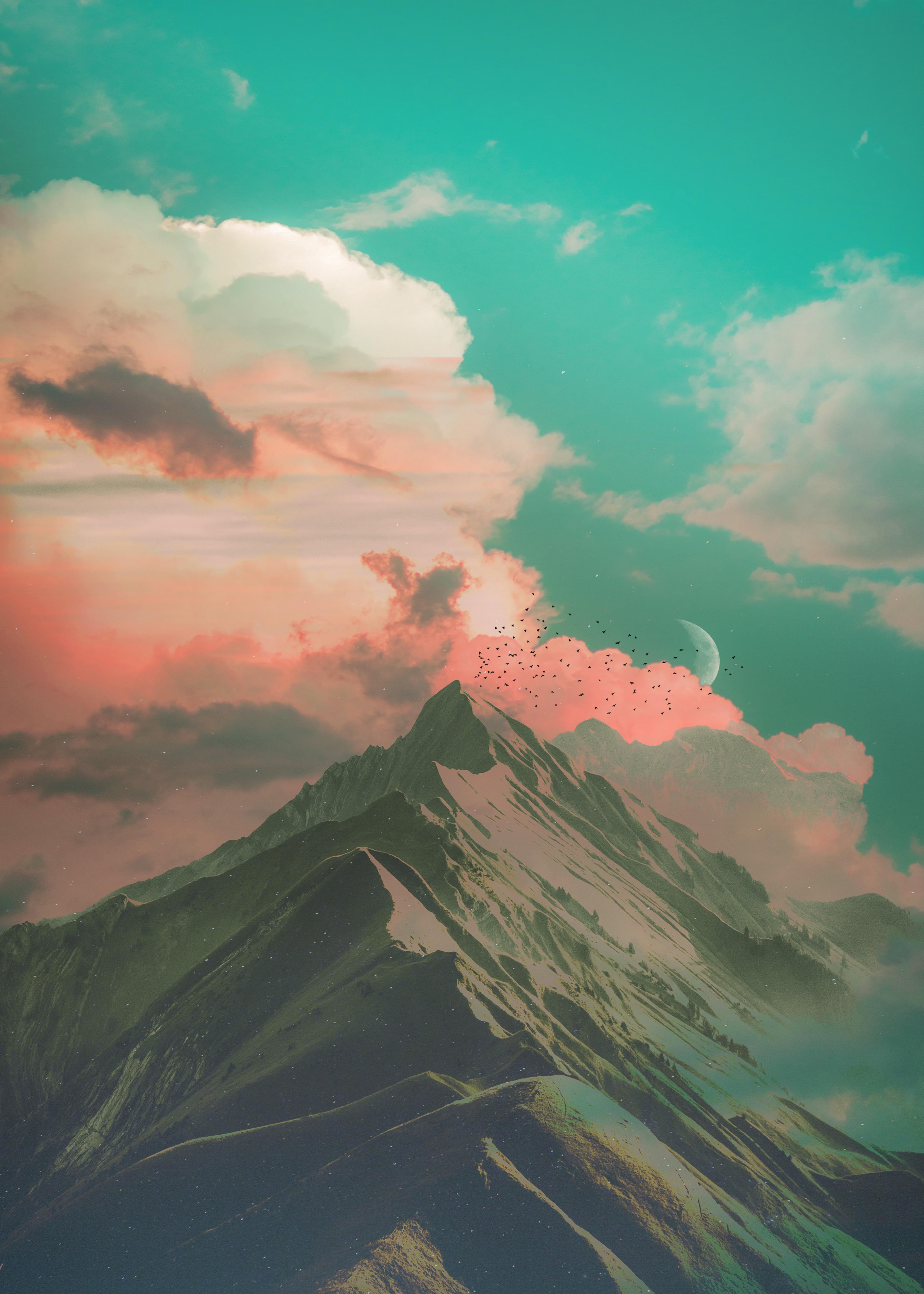 nature aesthetic. iPhone background