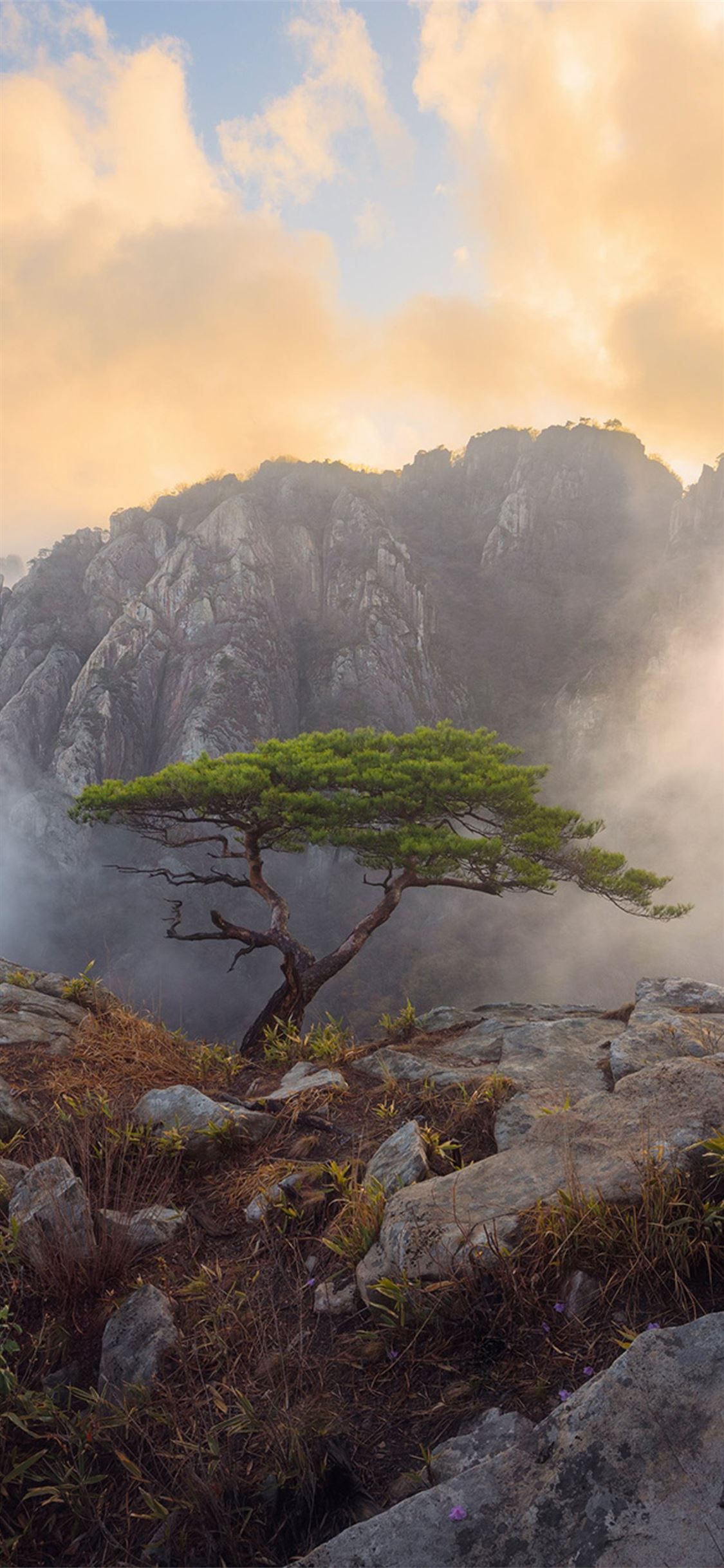 daedunsan south korea iPhone X Wallpaper. iPhone wallpaper HD nature, Beautiful nature wallpaper hd, HD nature wallpaper