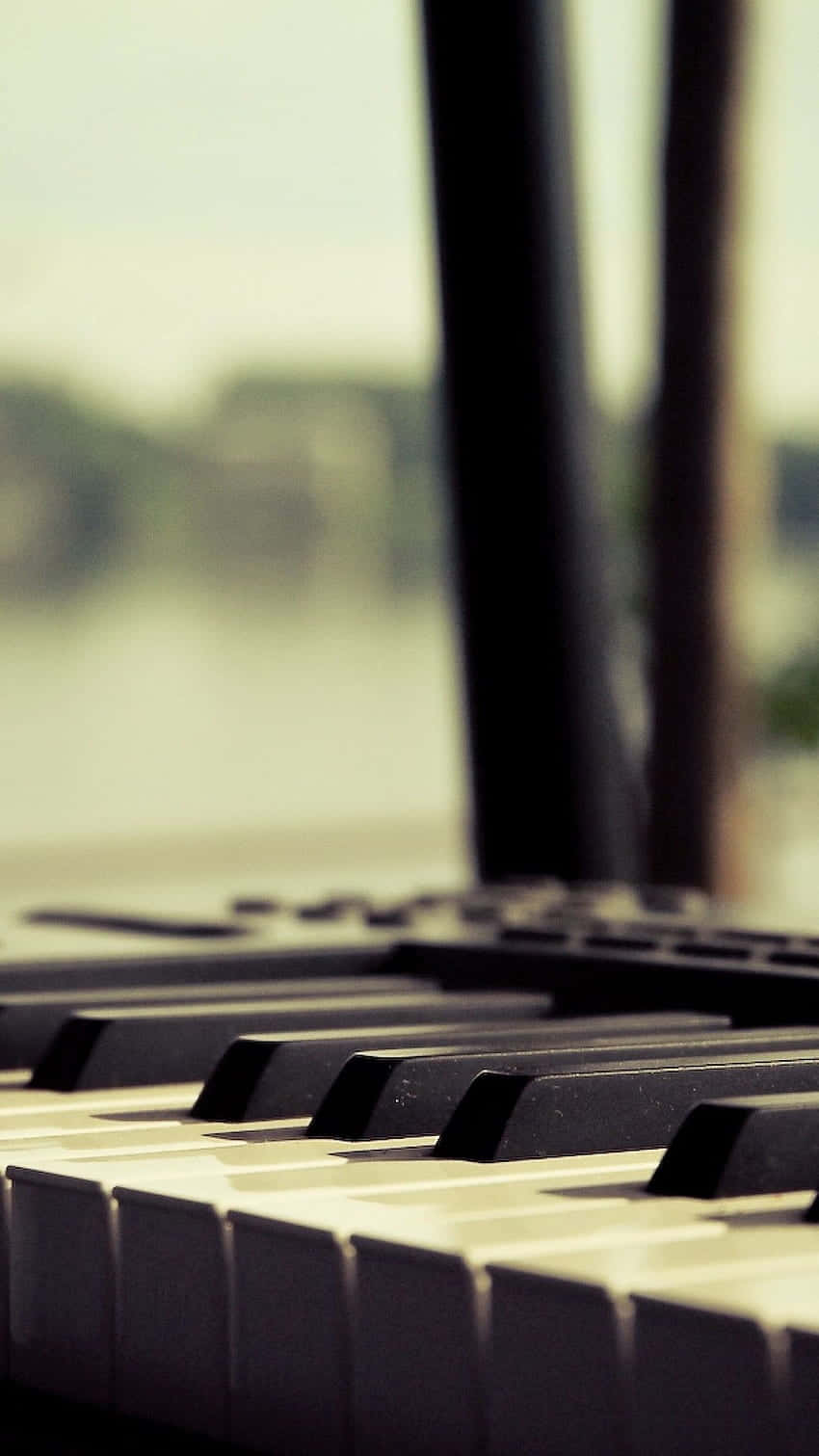 Download A Piano Keyboard With Keys