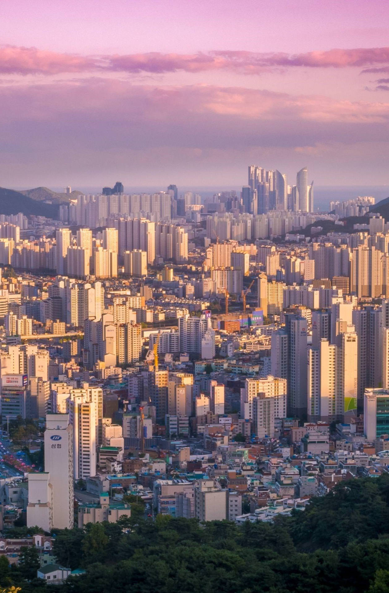 Download Busan South Korea Aesthetic Wallpaper