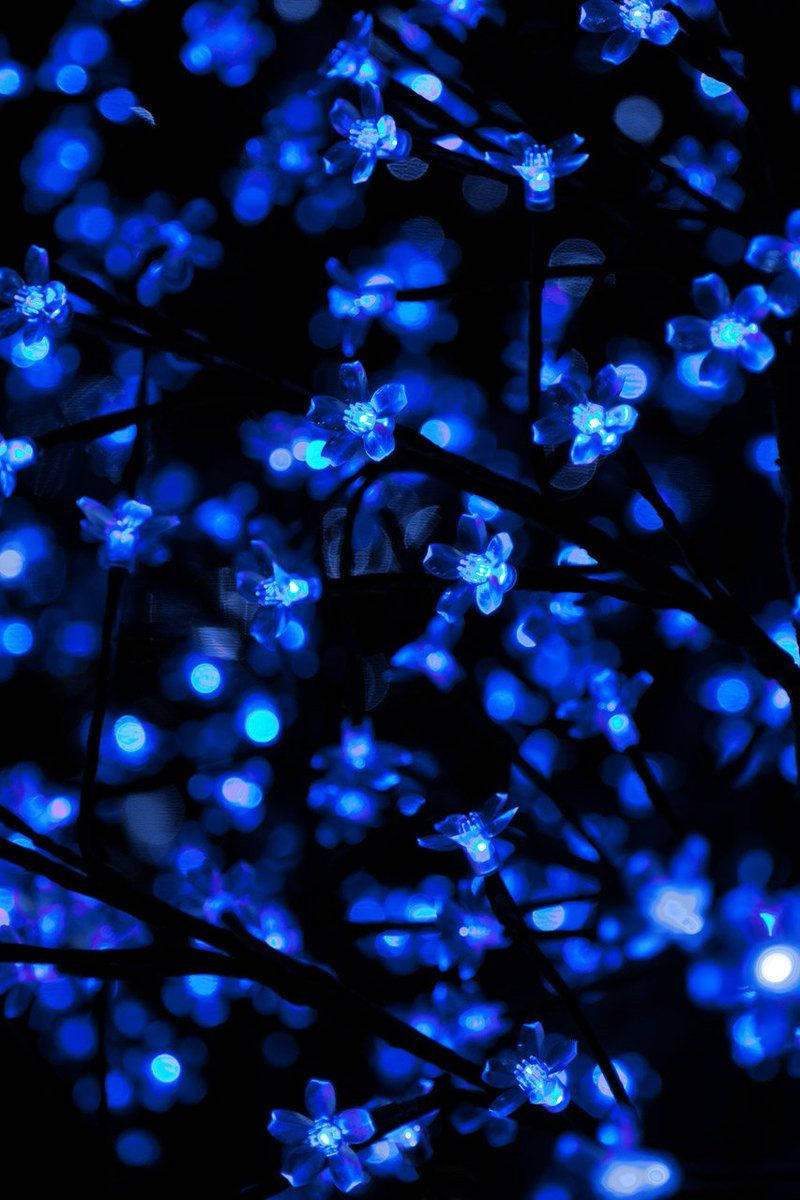 Download Blue Aesthetic Wallpaper