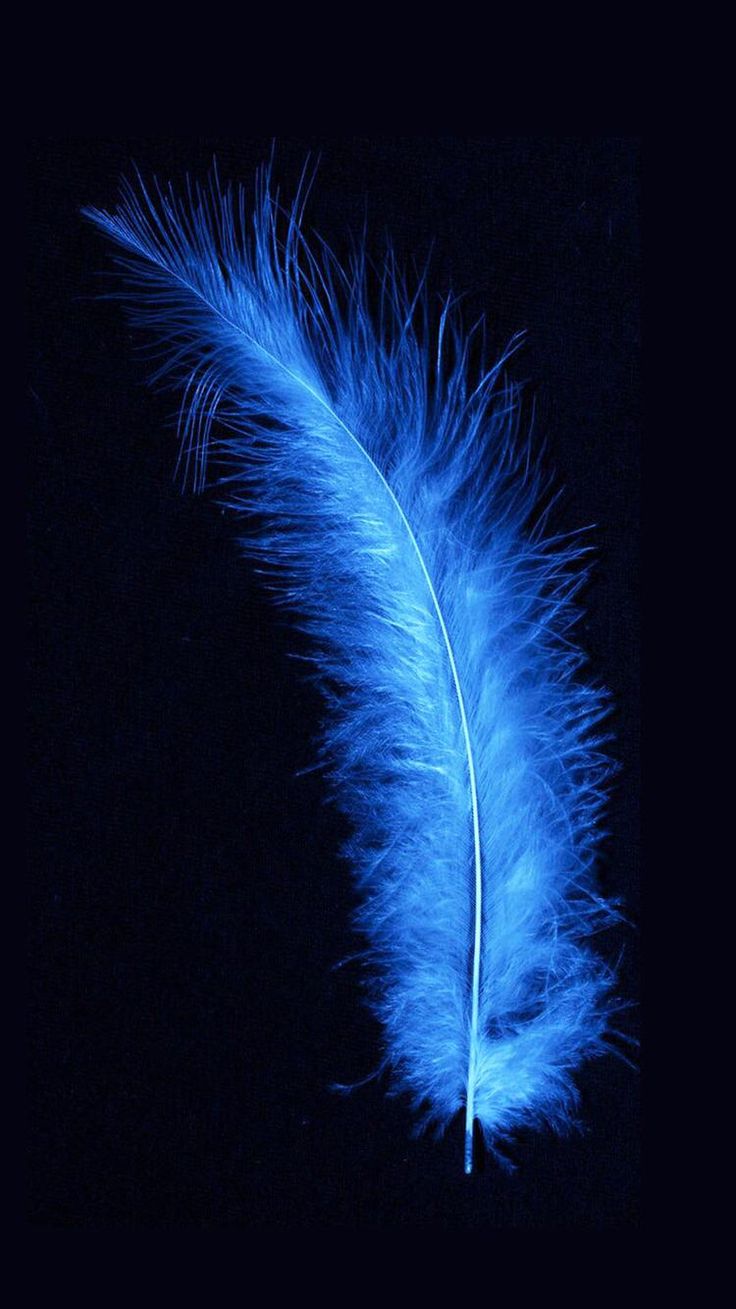 Glowing blue feather in black background!! Downloaded from Wallpaper.. Feather wallpaper, Black and blue wallpaper, Blue wallpaper iphone