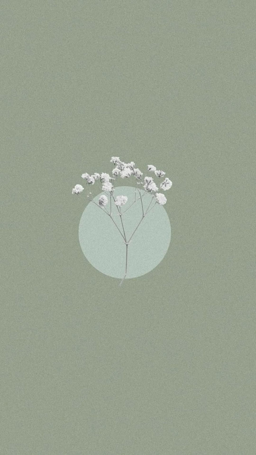 sage green flower wallpaper. Sage green wallpaper, Green wallpaper phone, Green wallpaper