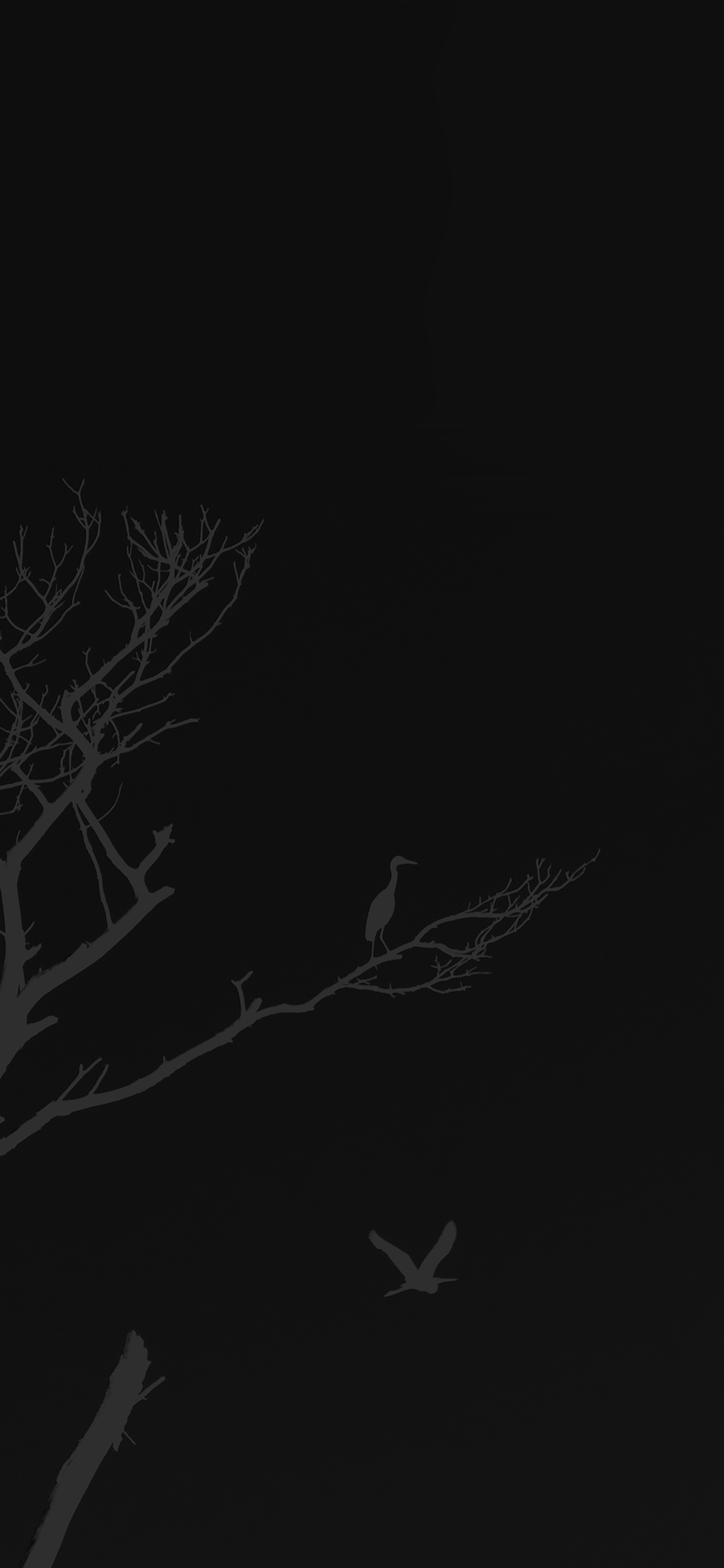 iPhoneXpapers sunset tree dark nature minimal