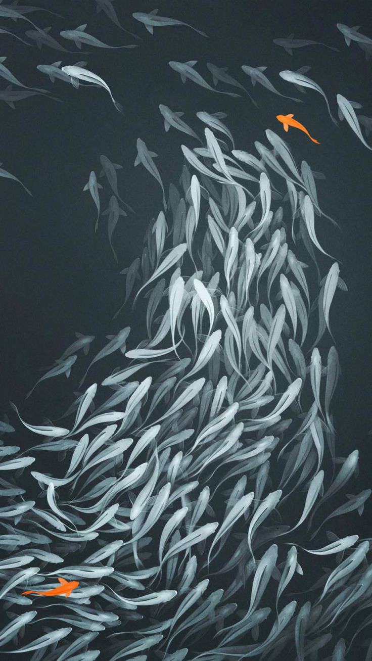 Fish Tank iPhone Wallpaper. Fish wallpaper iphone, iPad wallpaper, Graphic wallpaper