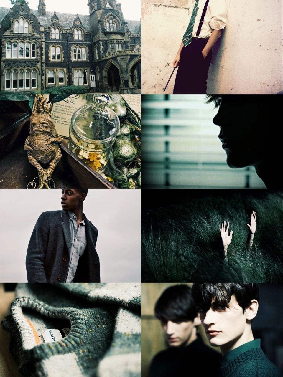 naricssamalfoy. Slytherin, Slytherin aesthetic, Slytherin pride