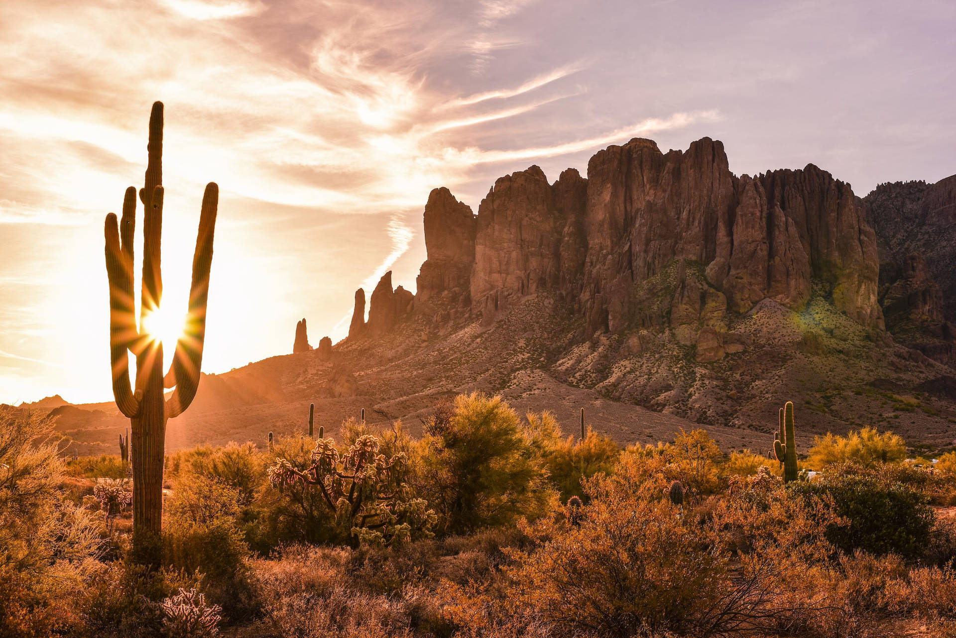 Arizona Desert Wallpaper