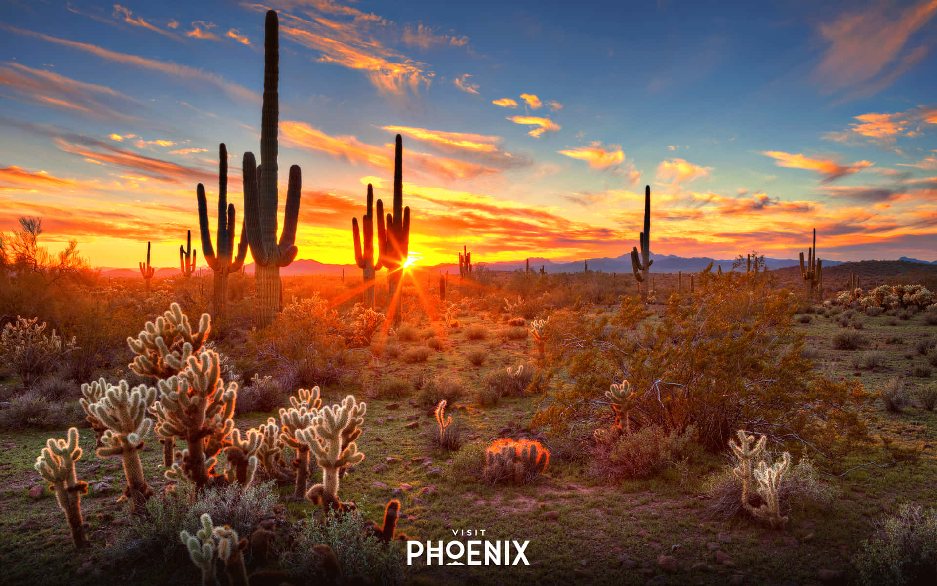 Phoenix Arizona Wallpaper