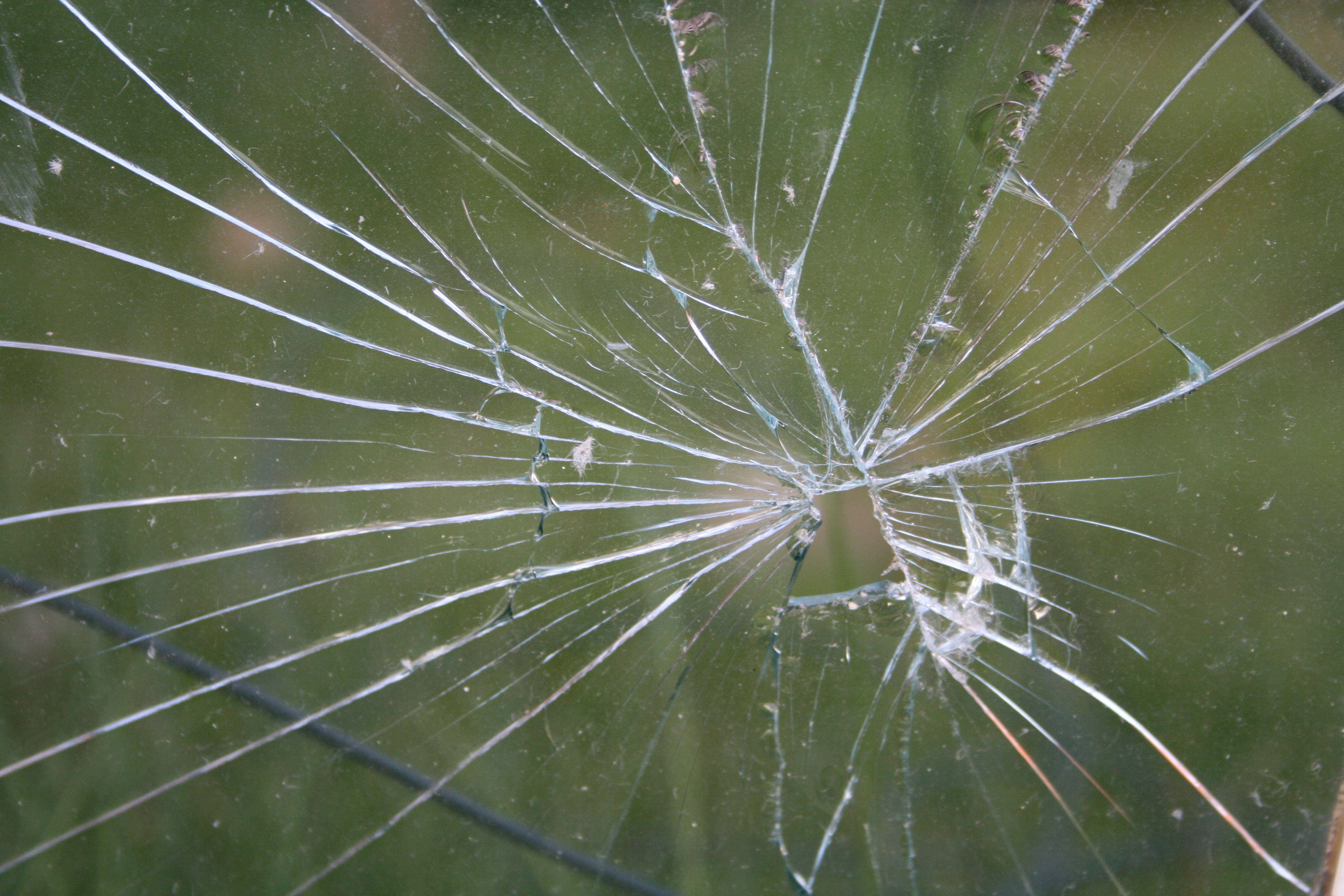 Download Cracked Computer Screen Glass Grass Wallpaper