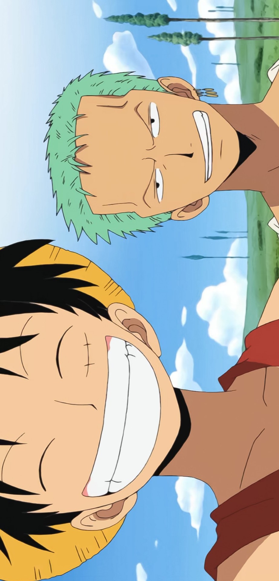 Luffy: Oh! Wari Zoro