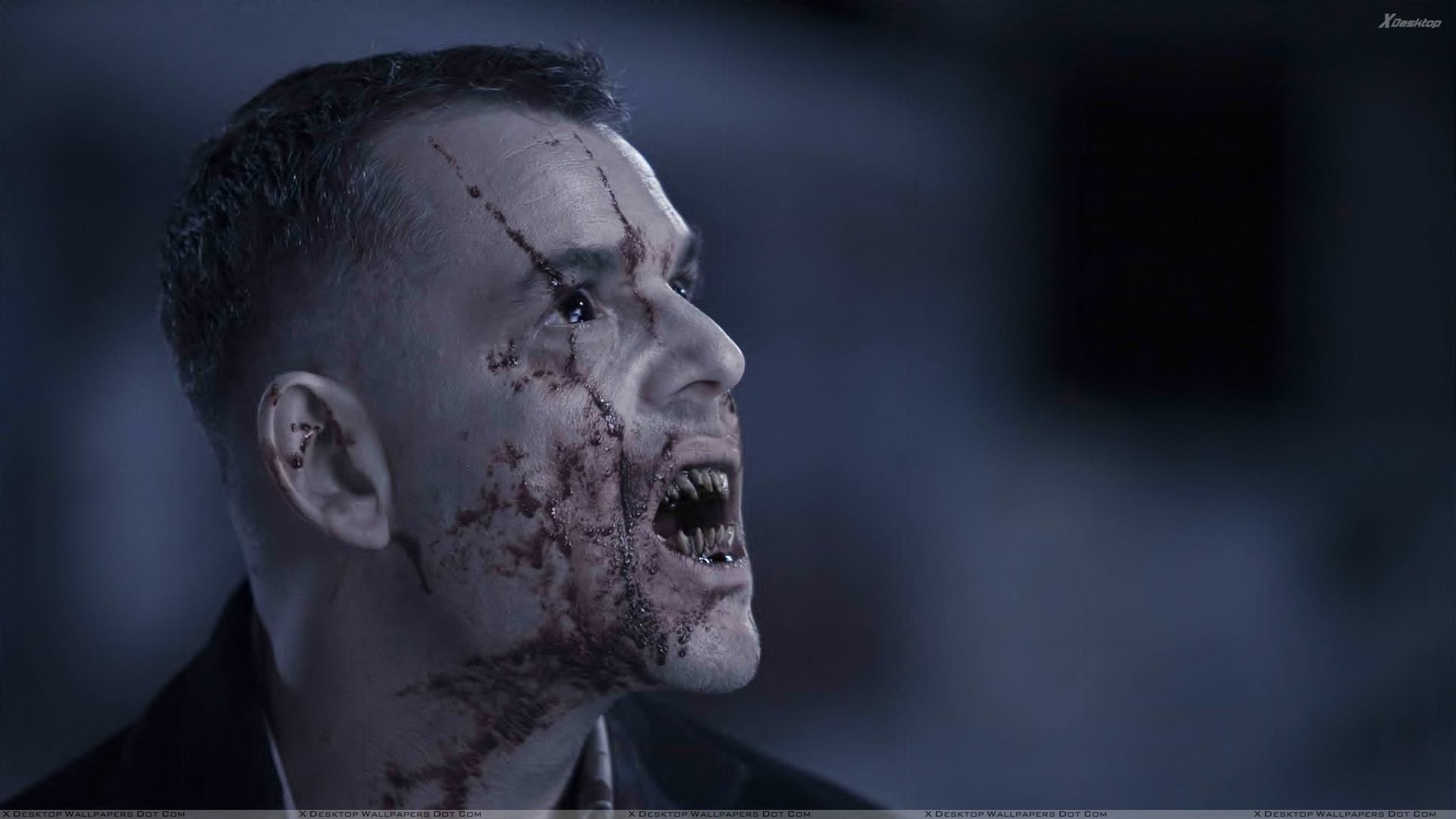 Movie 30 Days Of Night HD Wallpaper