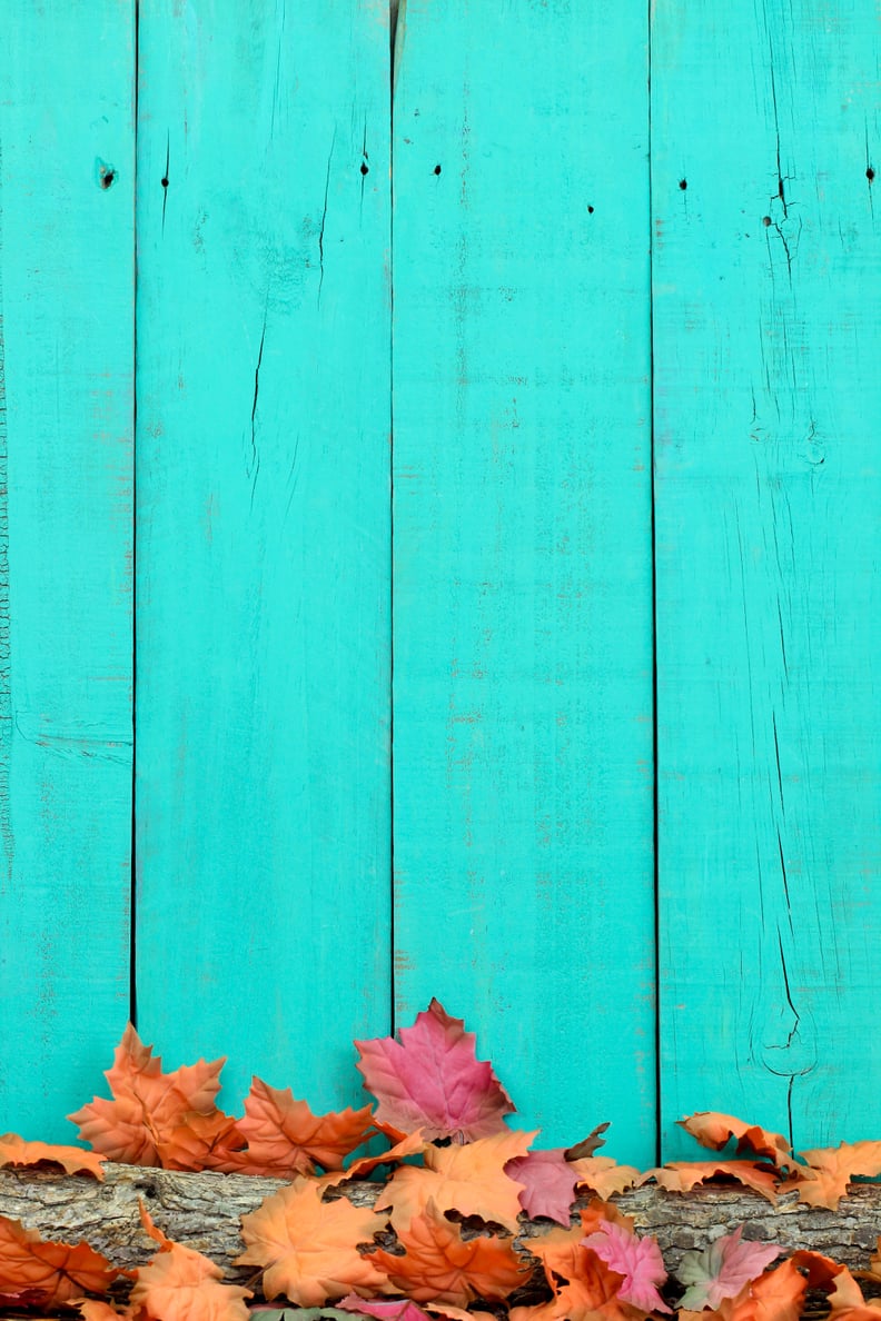 Fall iPhone Wallpaper
