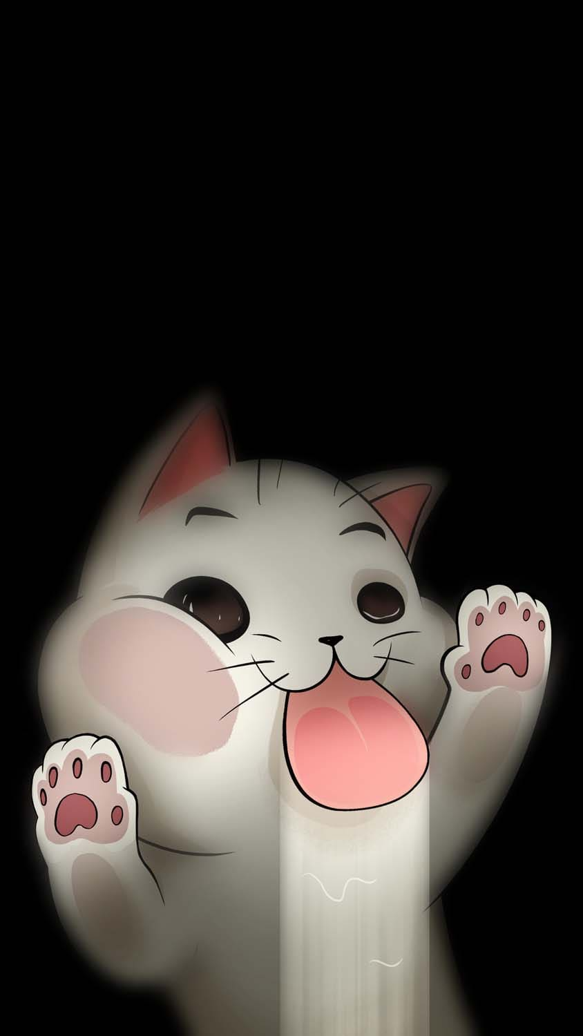 Cute Cat IPhone Wallpaper HD Wallpaper, iPhone Wallpaper. Wallpaper iphone cute, iPhone wallpaper, Funny phone wallpaper