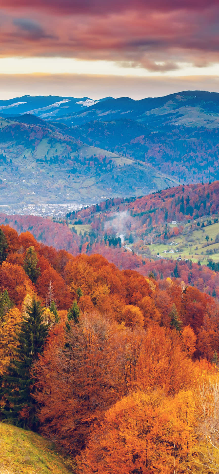 Download a mountain range with trees in the fall Wallpaper