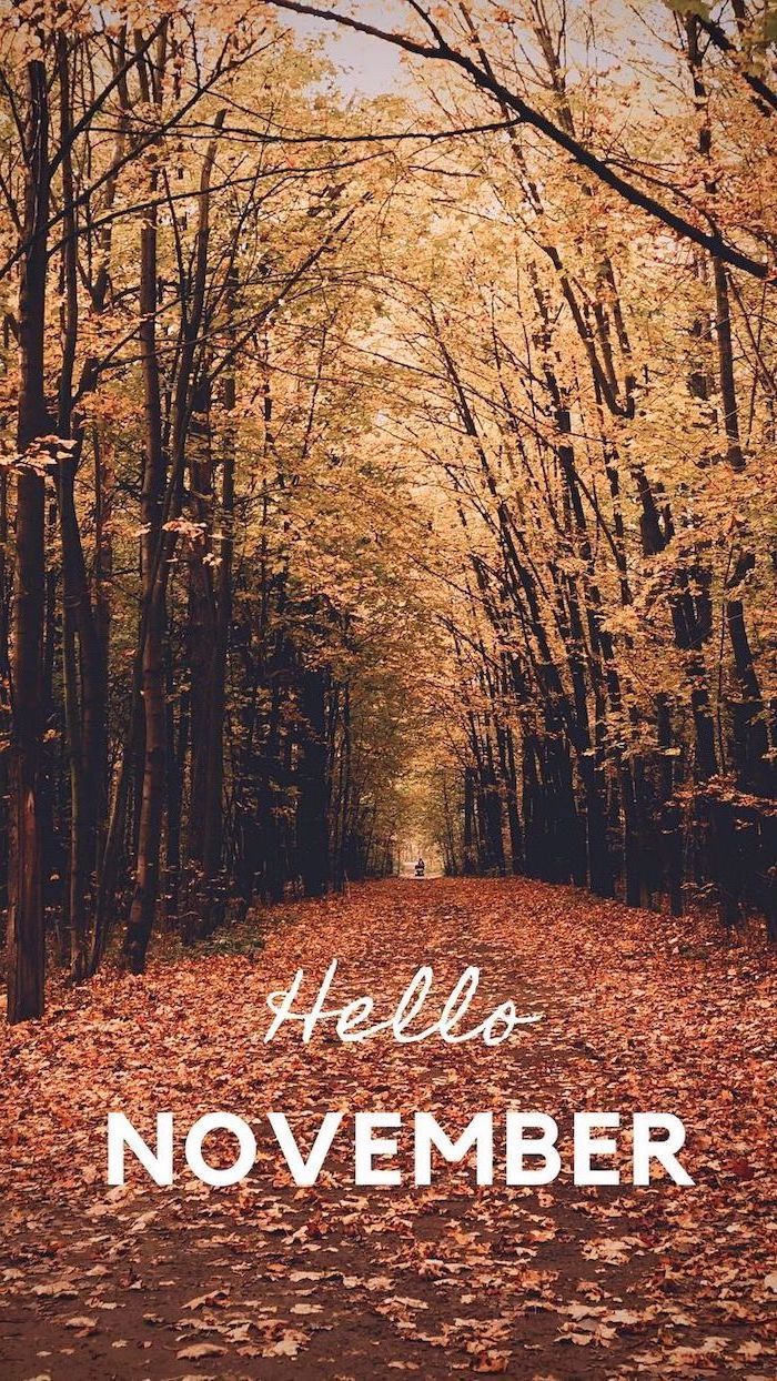 hello november written with white font autumn desktop wallpaper pathway covered with leaves surround. November wallpaper, Fall wallpaper, Hello november