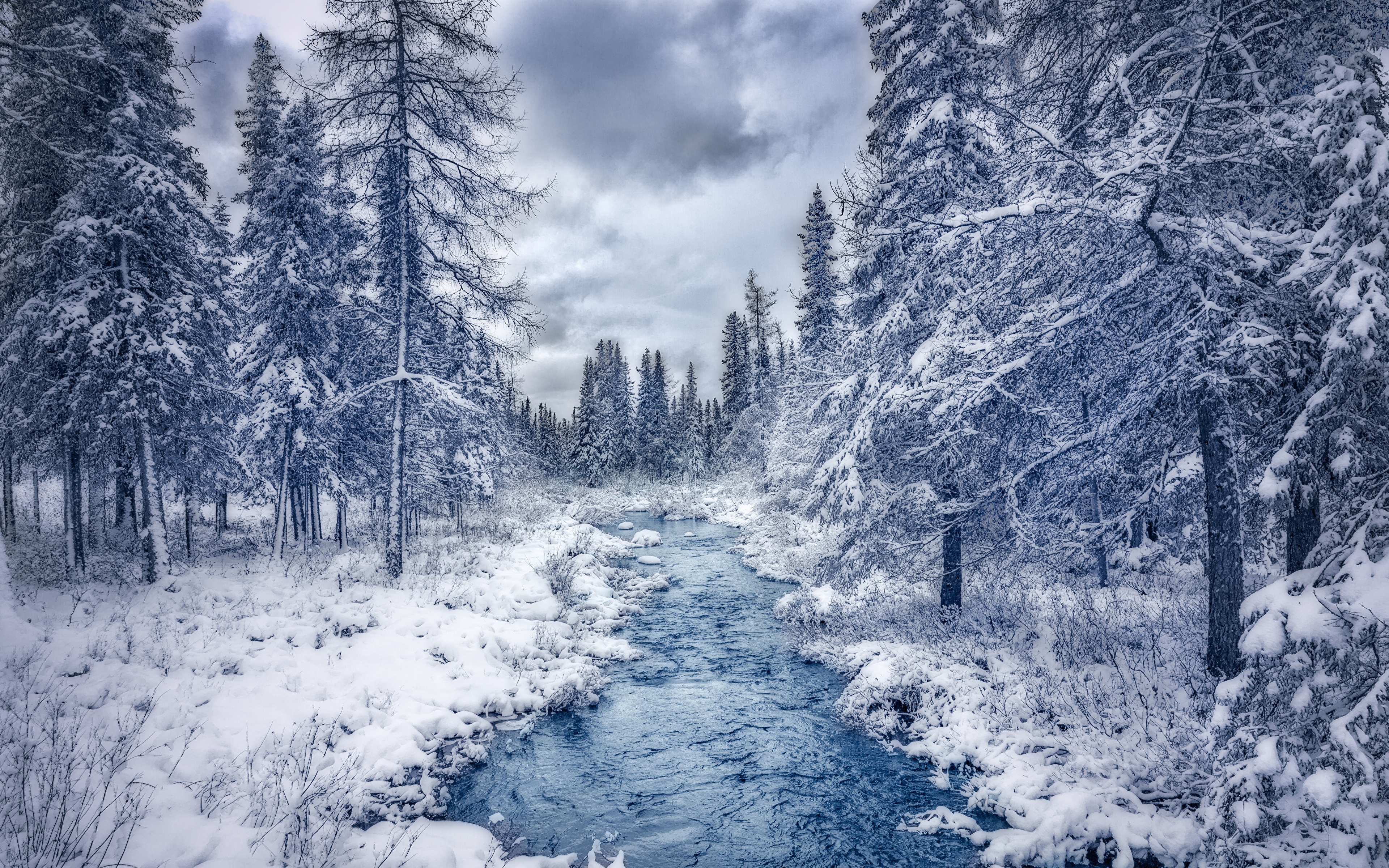 Desktop Wallpaper Nature Canada Trees Winter Quebec 3840x2400