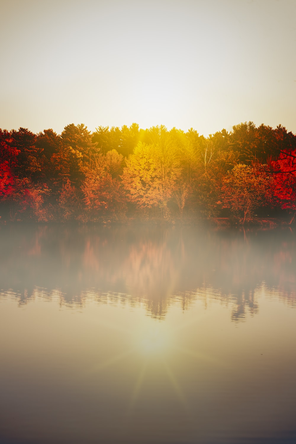 Autumn Nature Picture. Download Free Image