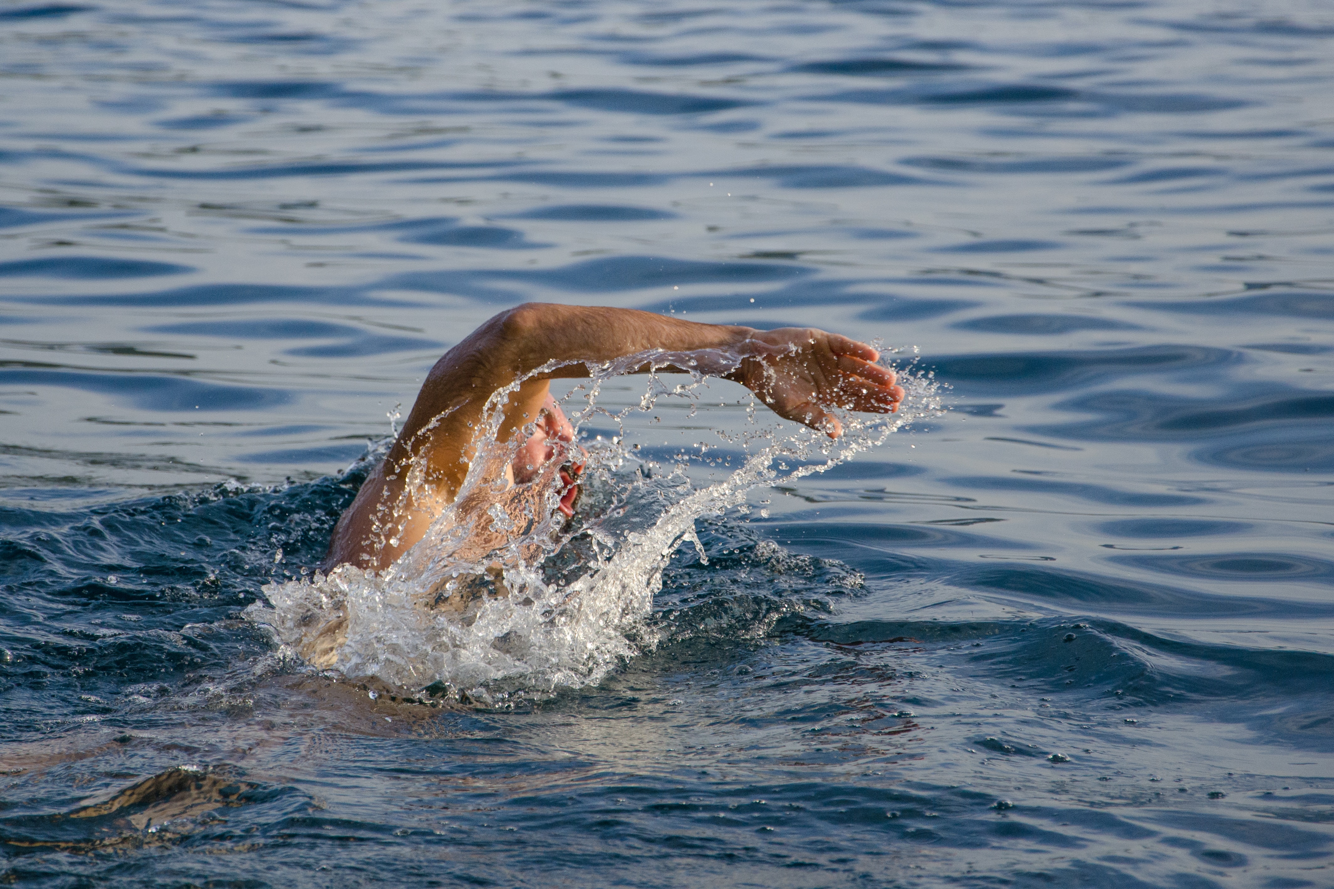 Swimmer Photo, Download The BEST Free Swimmer & HD Image