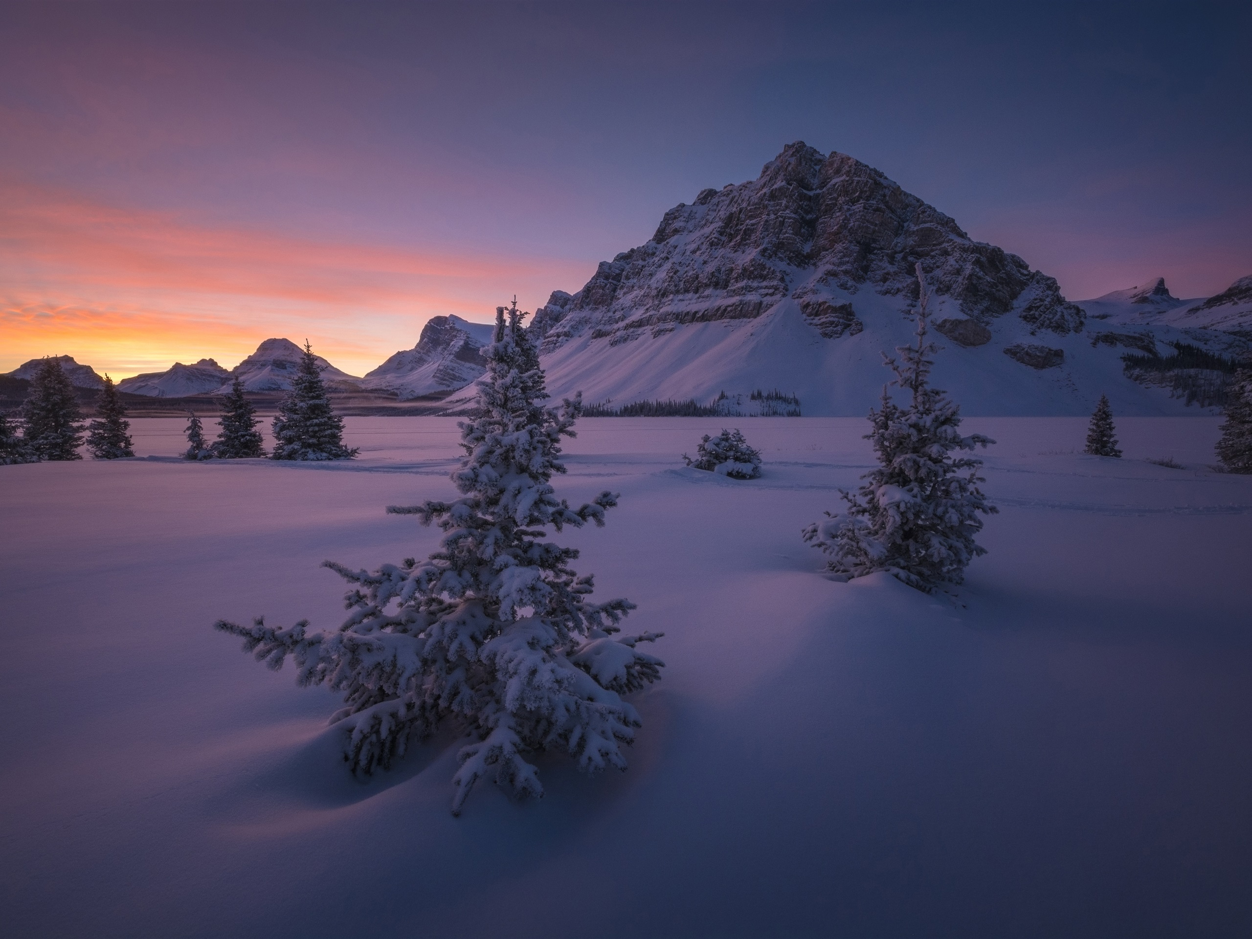 Wallpaper Canada, Banff National Park, snow, mountains, trees, winter, night 3840x2160 UHD 4K Picture, Image