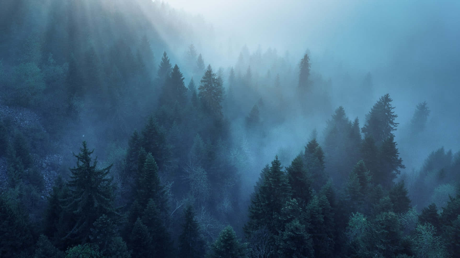 Foggy Aesthetic Background