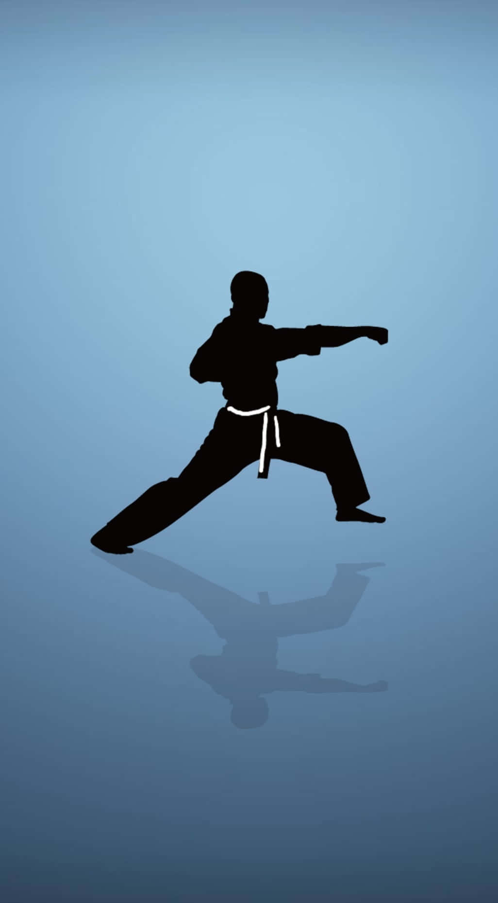 Download A Silhouette Of A Karate Man Doing A Kick