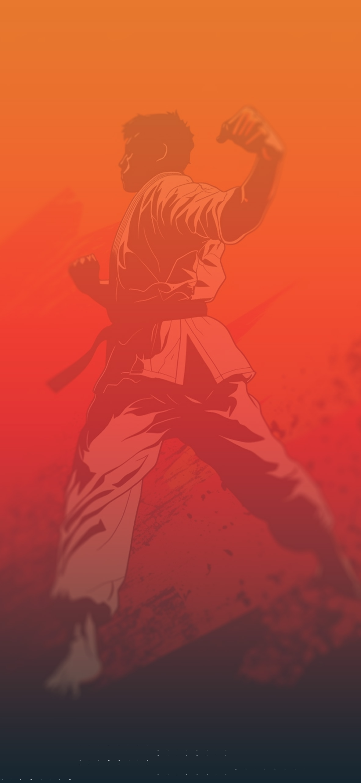 Karate Orange Wallpaper Aesthetic Wallpaper for iPhone