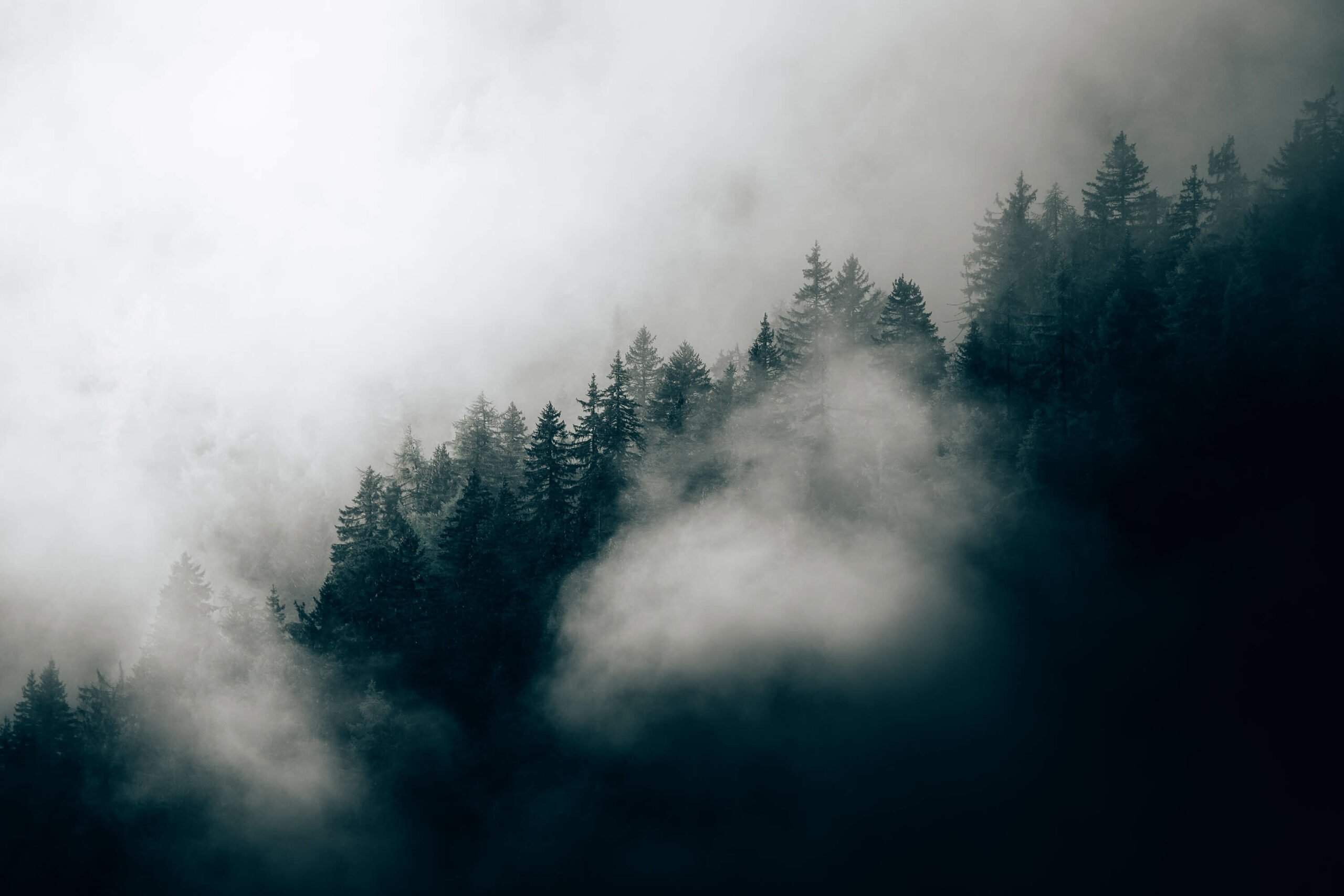 Foggy Alpine Morning. Custom Made Wallpaper On Forestwallpaper.com