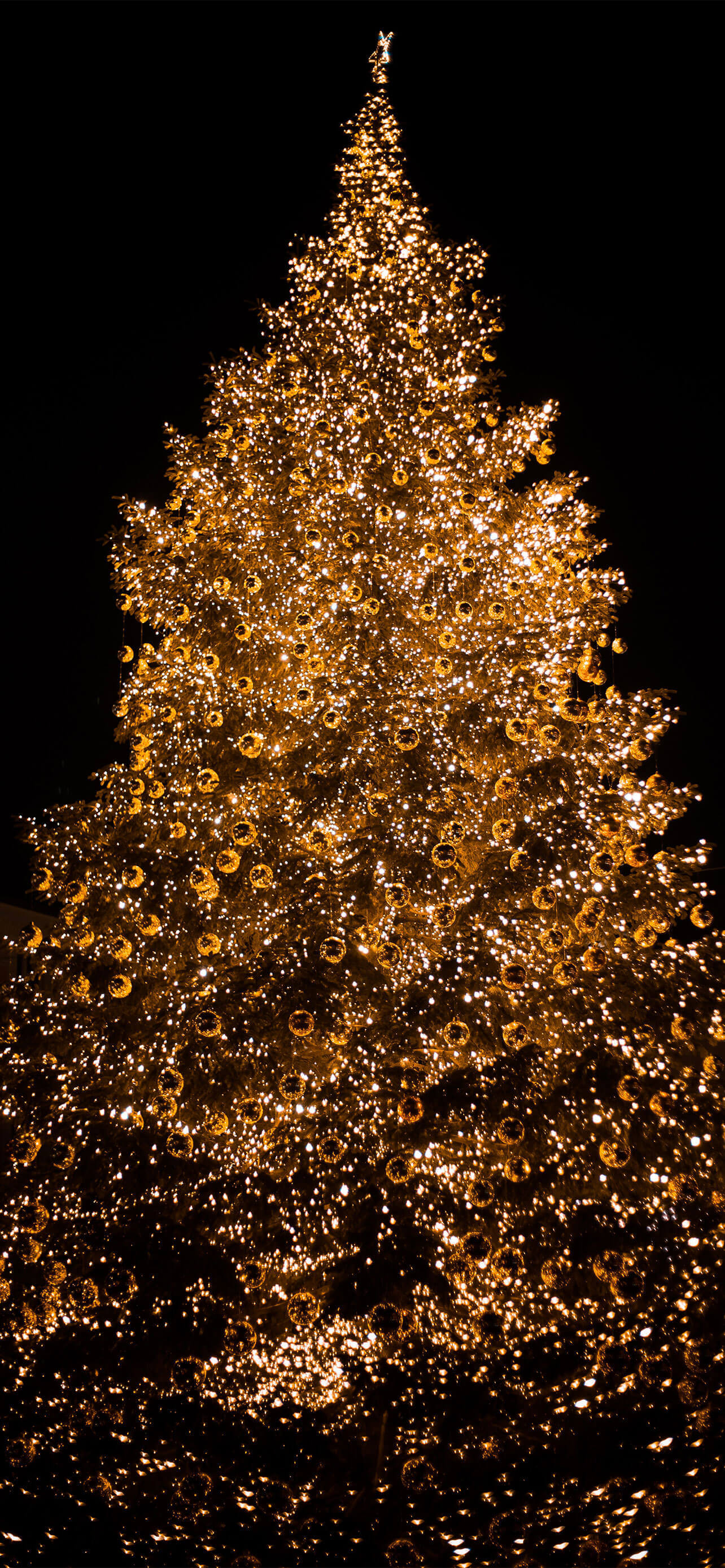 Beautiful iPhone 12 Pro Max Christmas