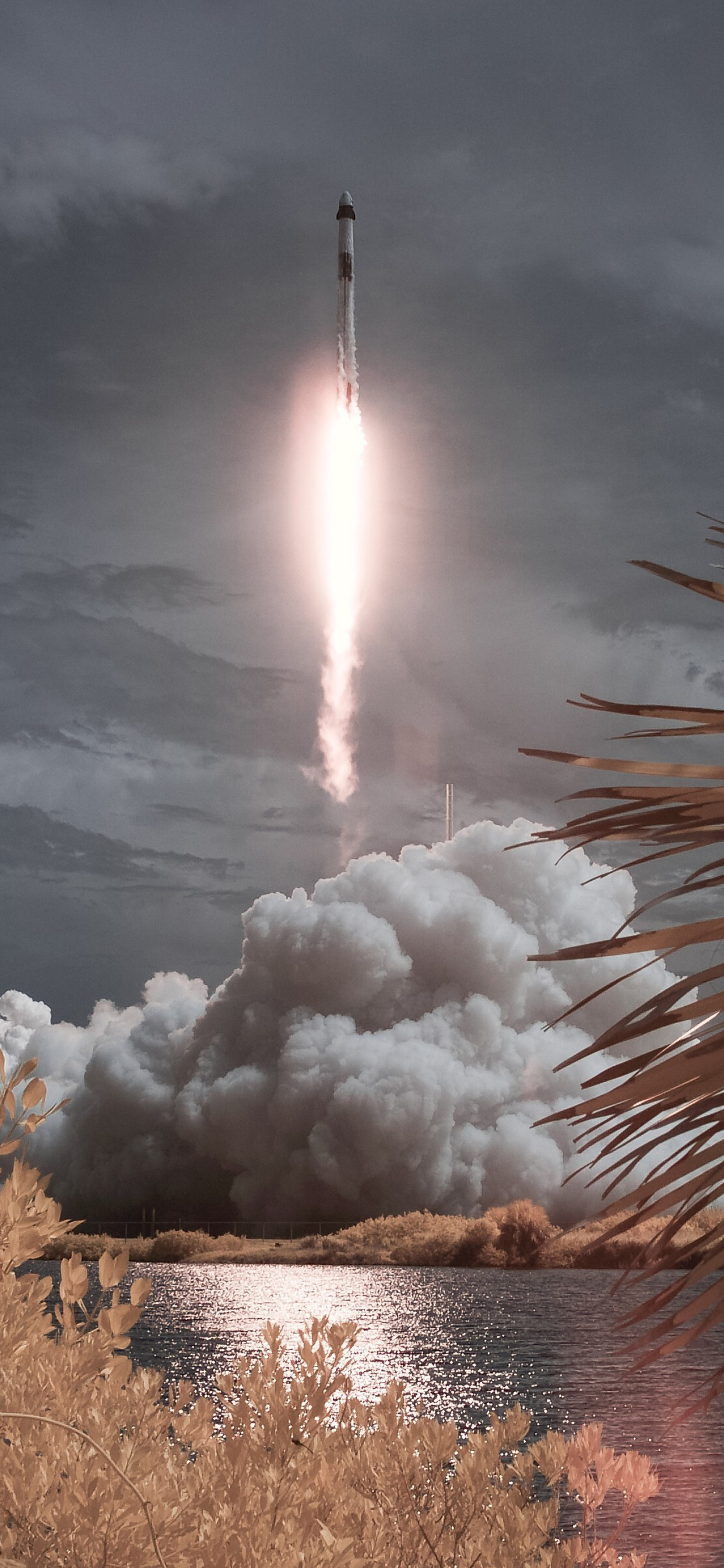 SpaceX Falcon 9 Rocket Crew Dragon iPhone XS MAX HD 4k Wallpaper, Image, Background, Photo and Picture