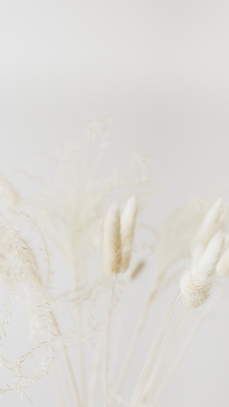 Neutral Aesthetic iPhone Wallpaper Image Wallpaper