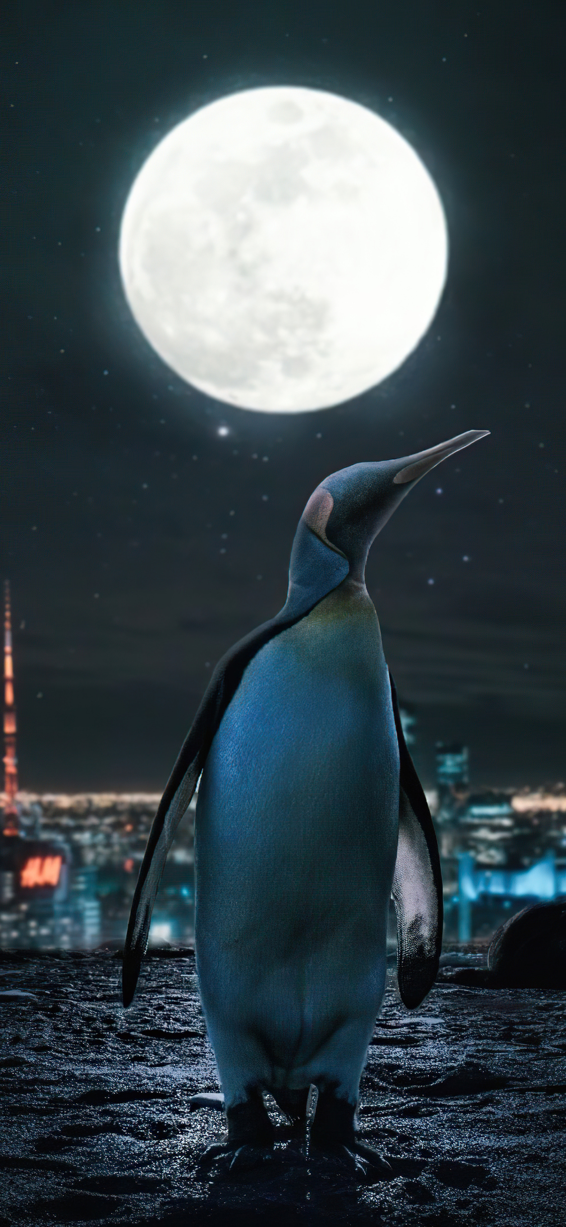 Penguin Moon Night 4k iPhone XS, iPhone 10, iPhone X HD 4k Wallpaper, Image, Background, Photo and Picture